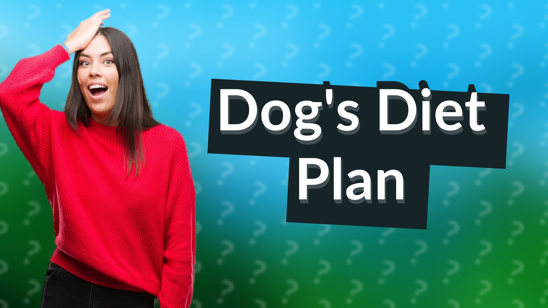 Dog's Diet Plan