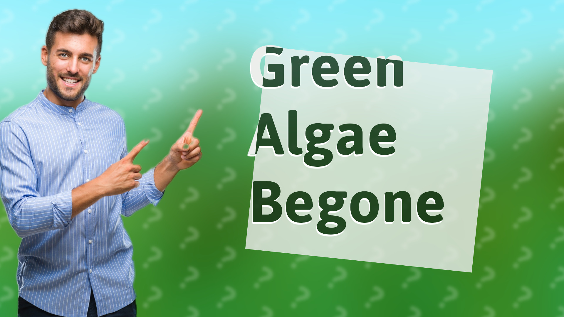 Green Algae Begone