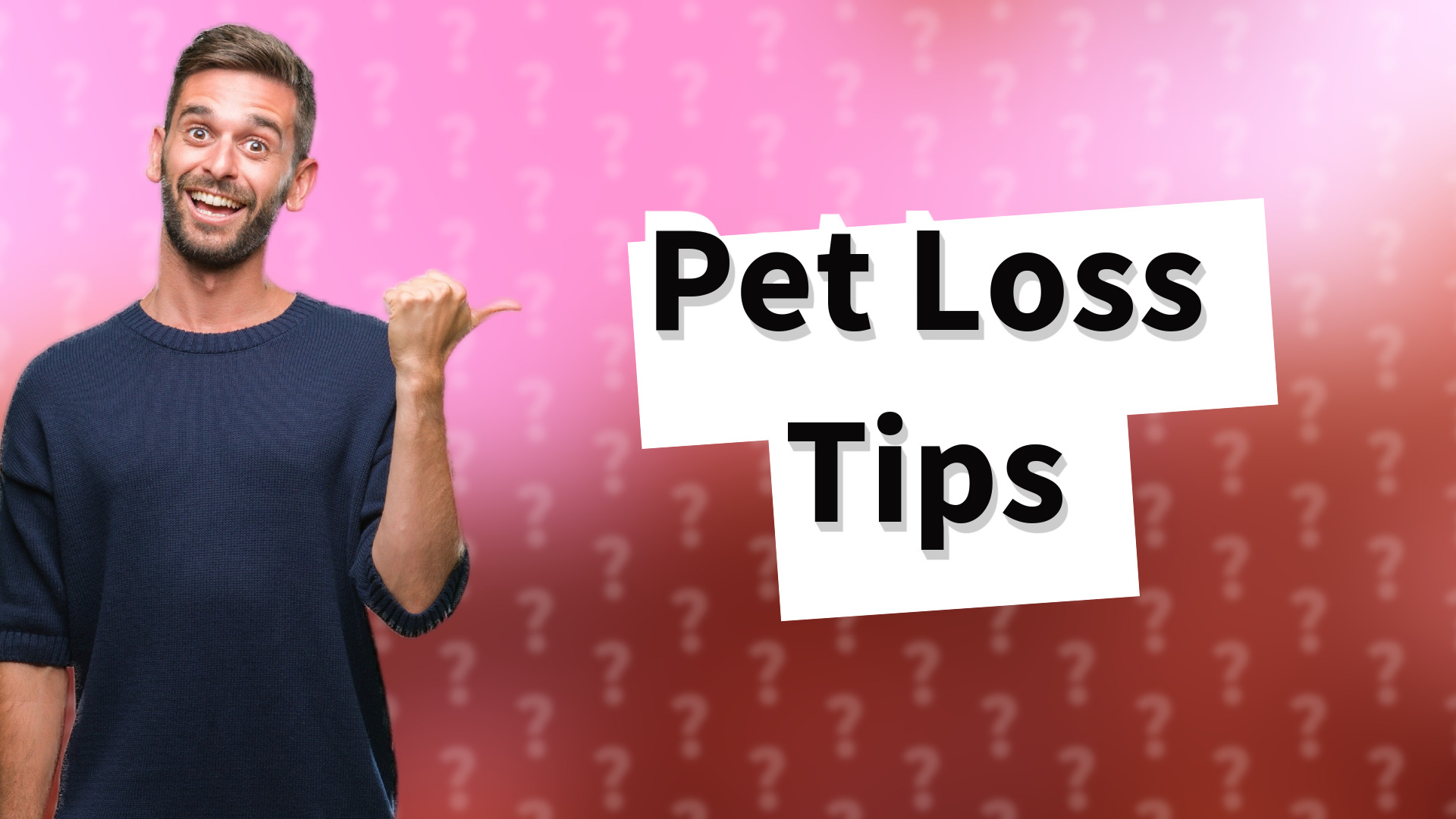 Pet Loss Tips