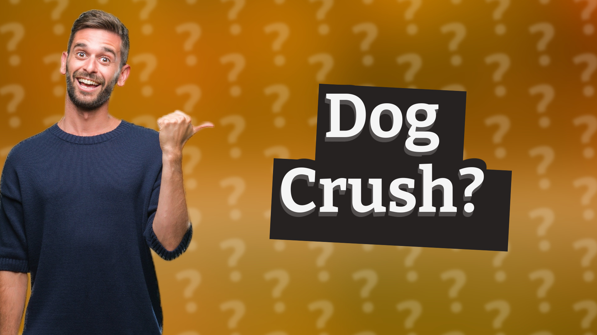 Dog Crush?