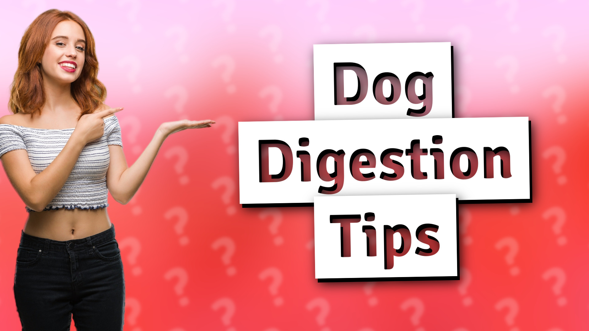 Dog Digestion Tips