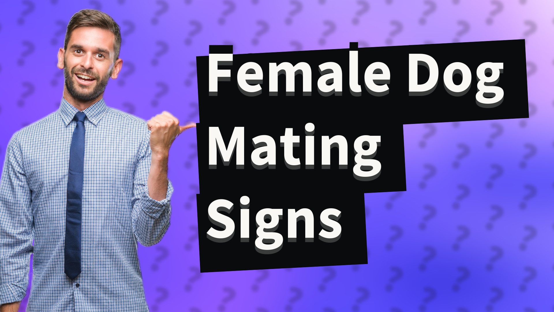 Female Dog Mating Signs