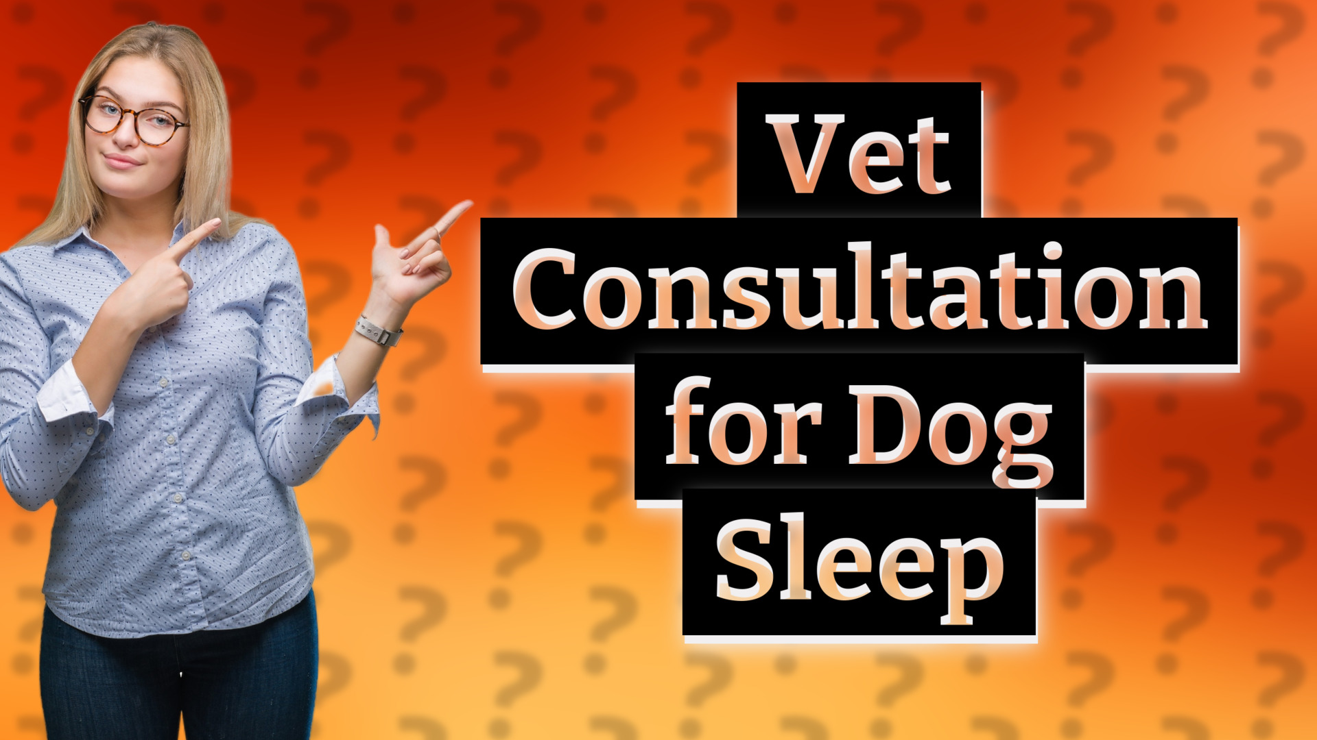 Vet Consultation for Dog Sleep
