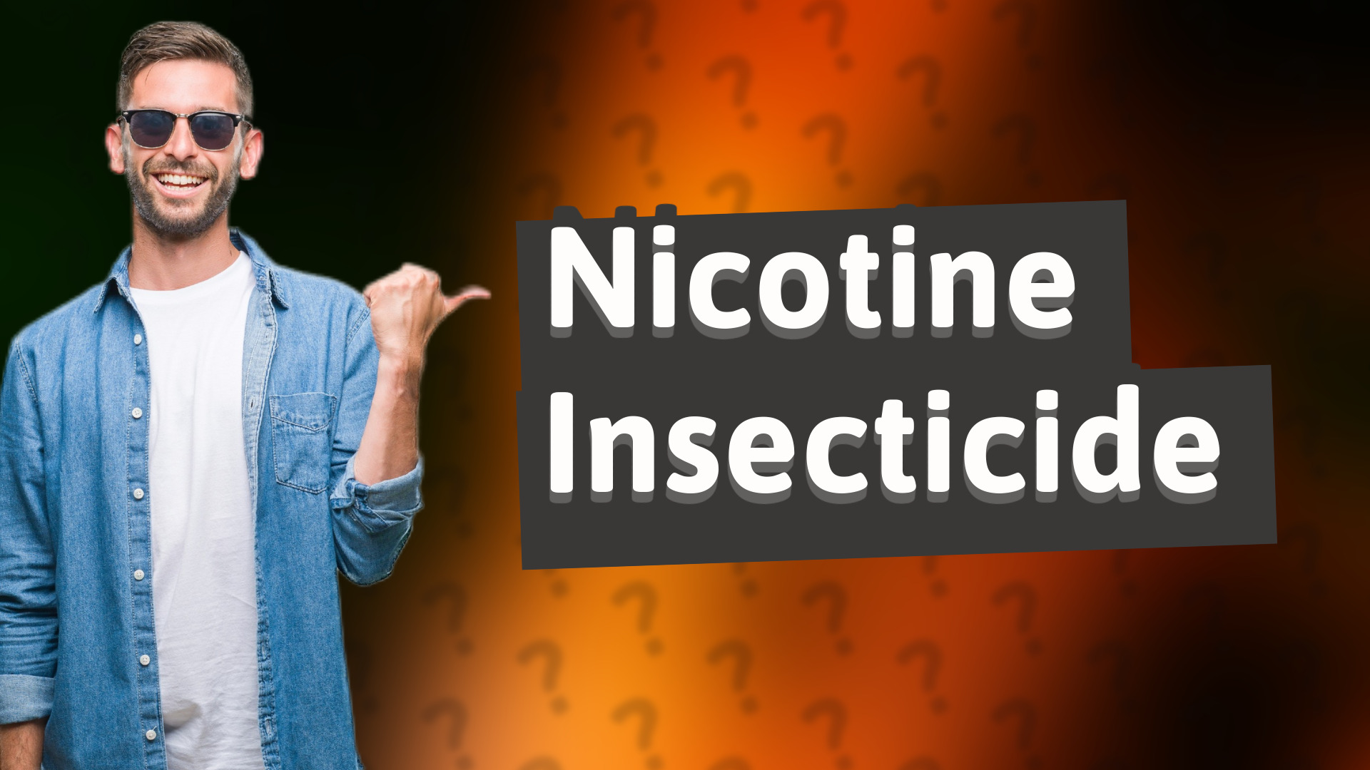 Nicotine Insecticide