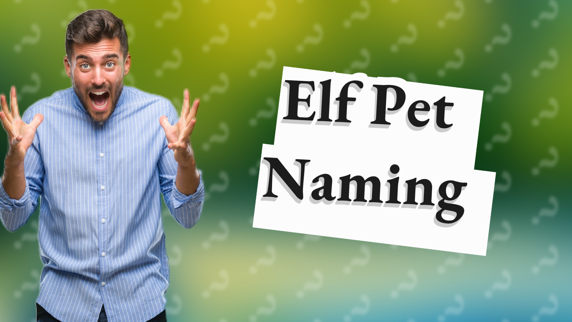Elf Pet Naming