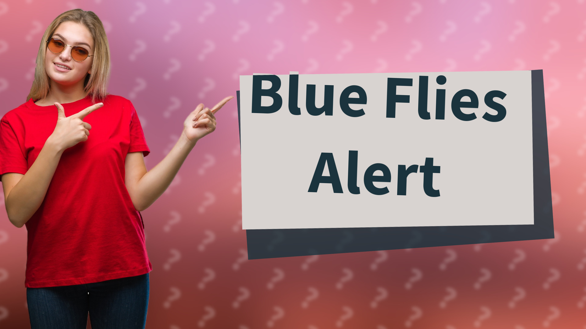Blue Flies Alert
