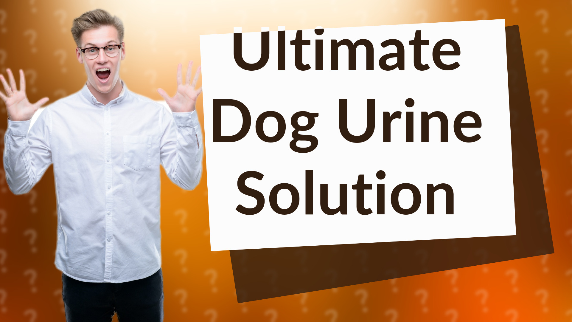 Ultimate Dog Urine Solution