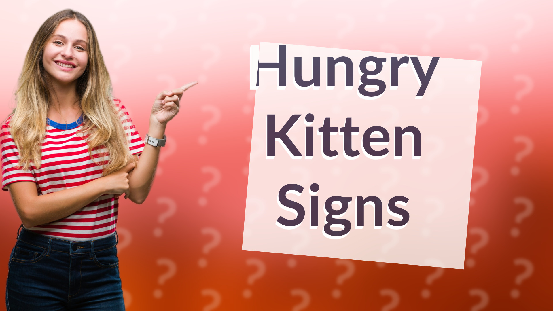 Hungry Kitten Signs