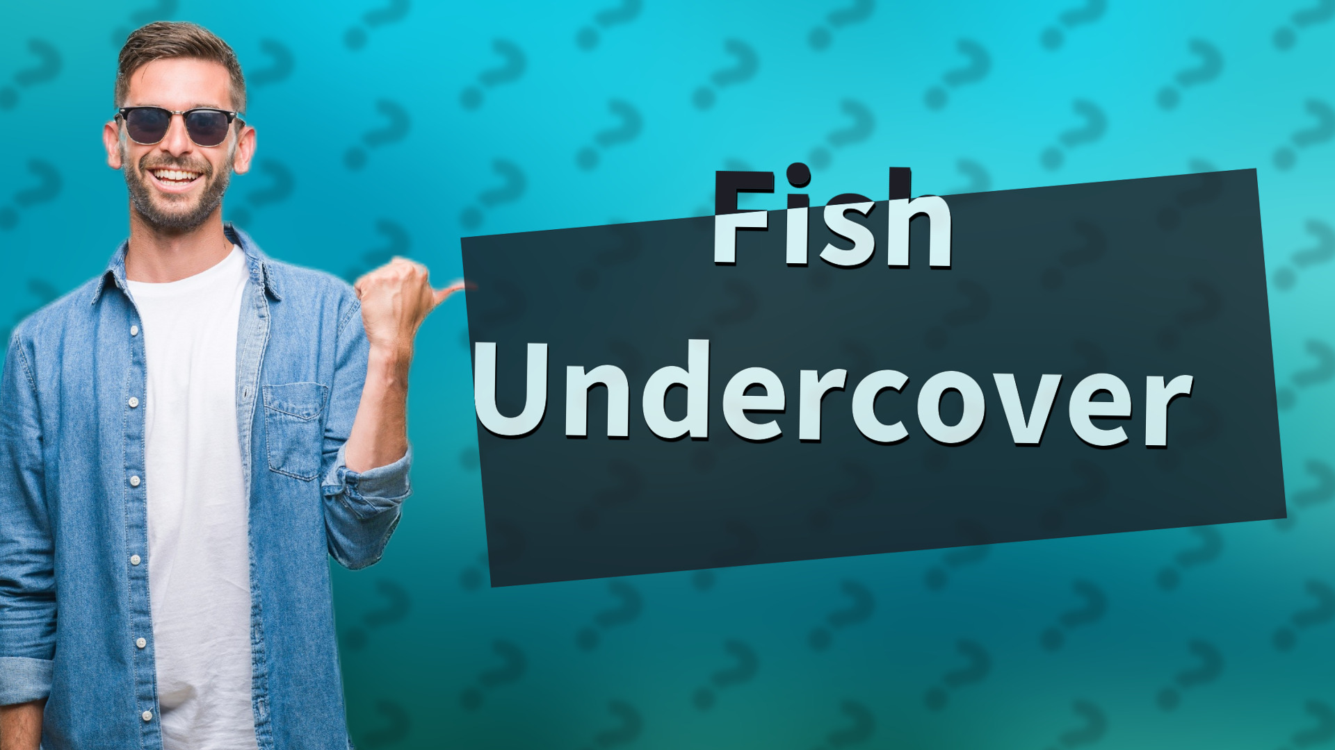 Fish Undercover