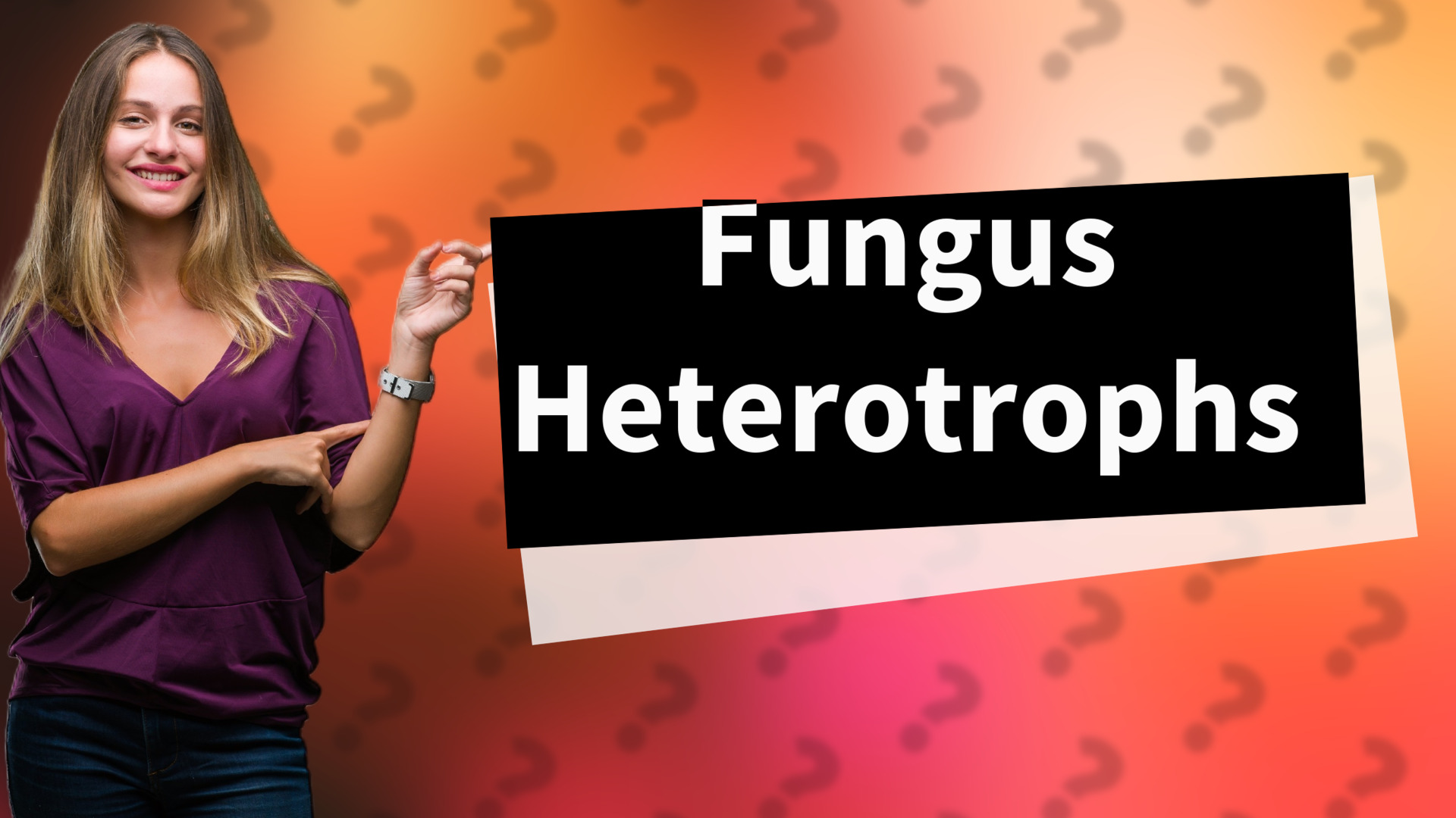 Fungus Heterotrophs