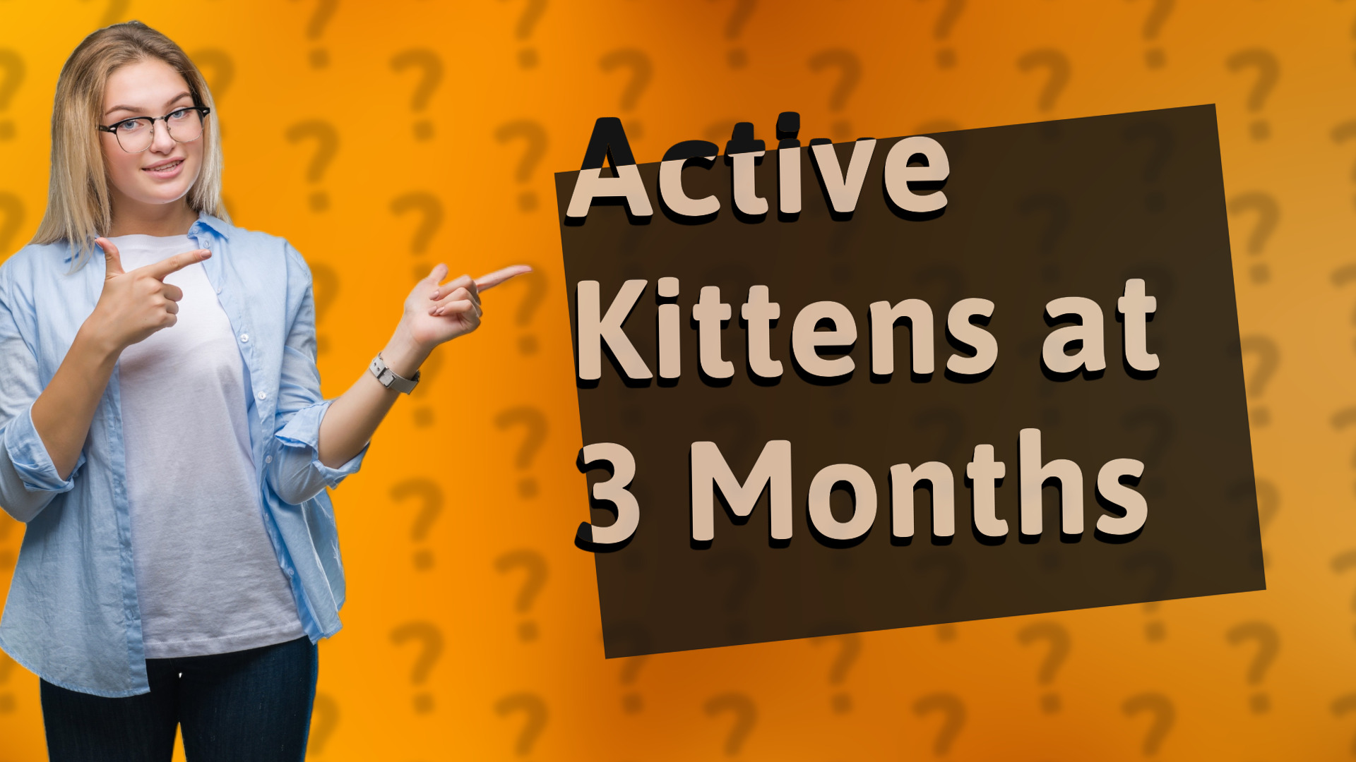Active Kittens at 3 Months