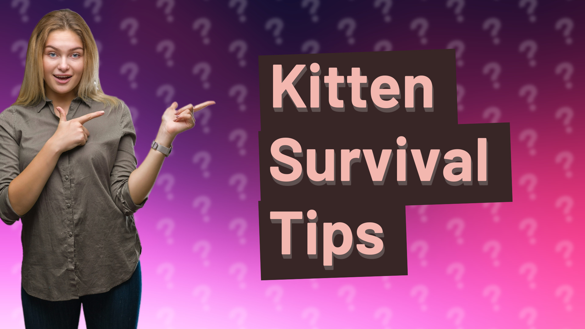 Kitten Survival Tips