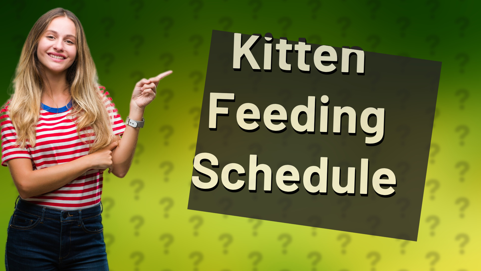 Kitten Feeding Schedule
