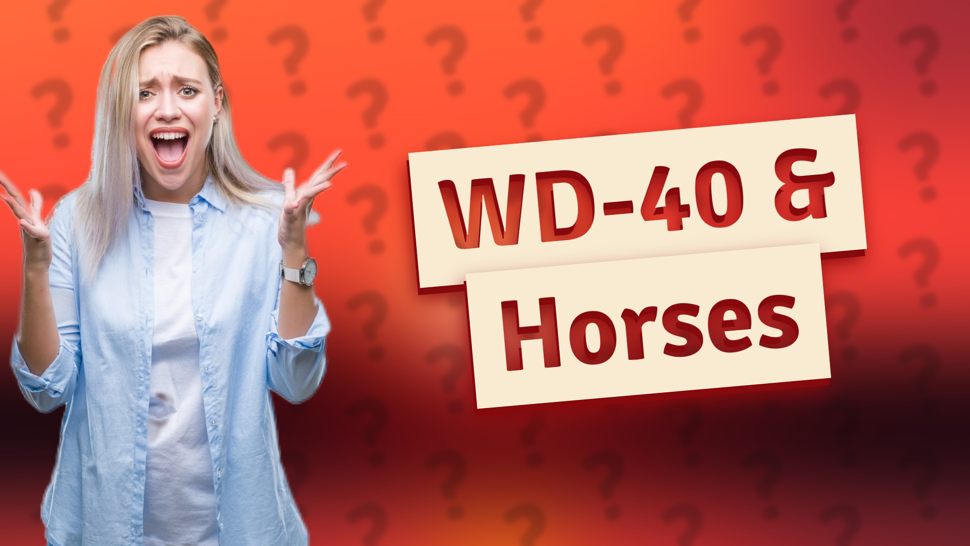 WD-40 & Horses