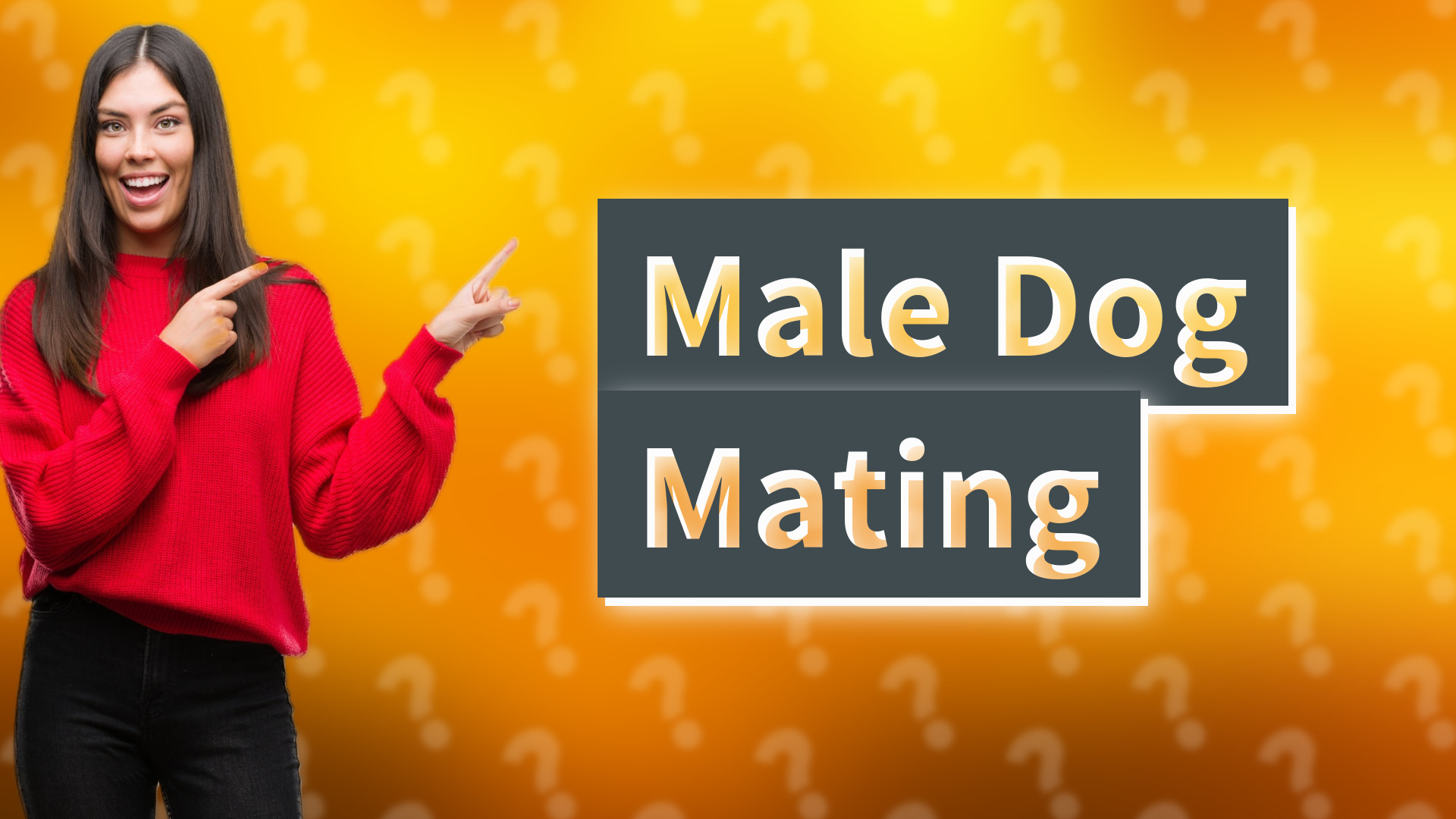Male Dog Mating