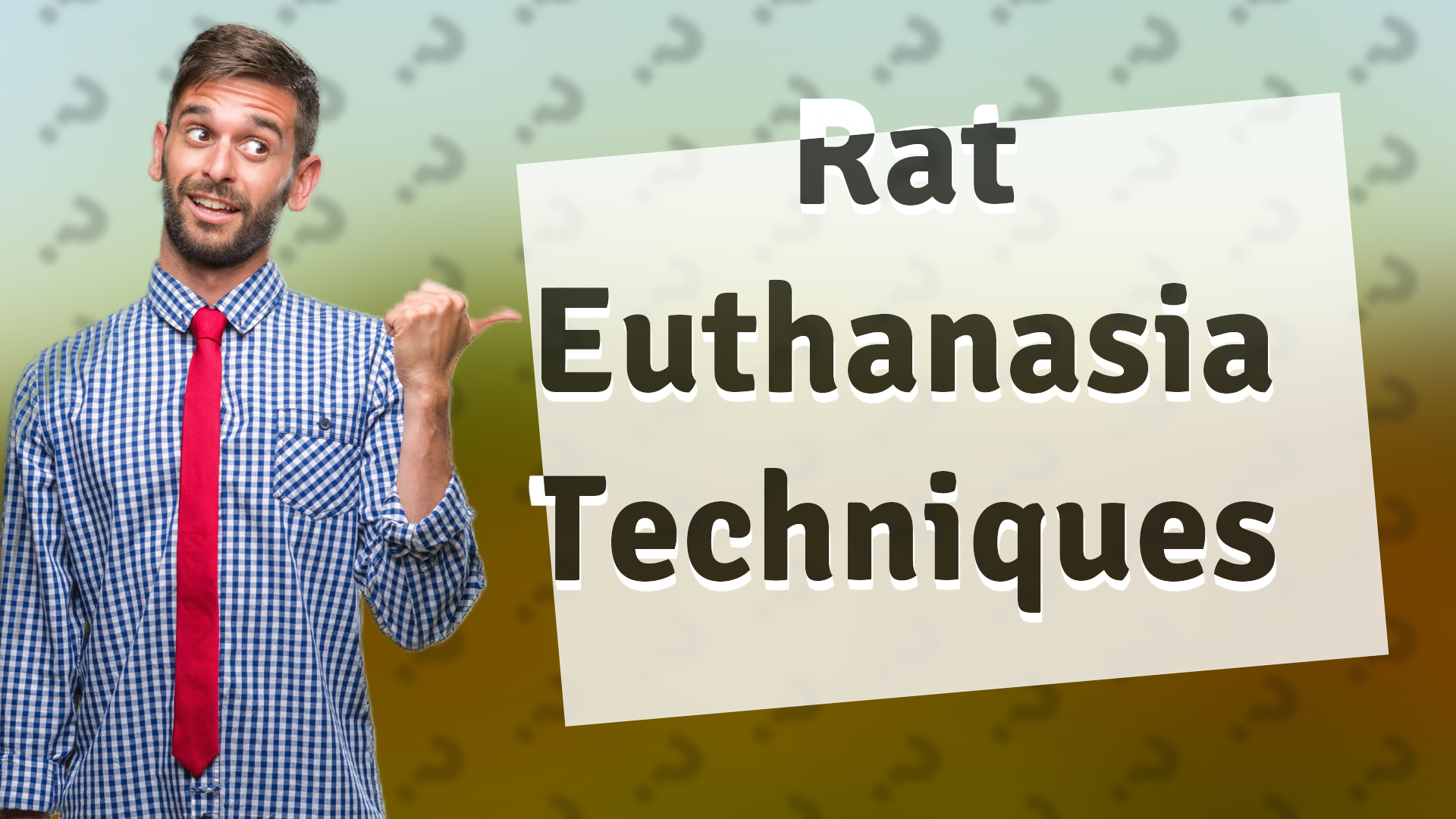 Rat Euthanasia Techniques