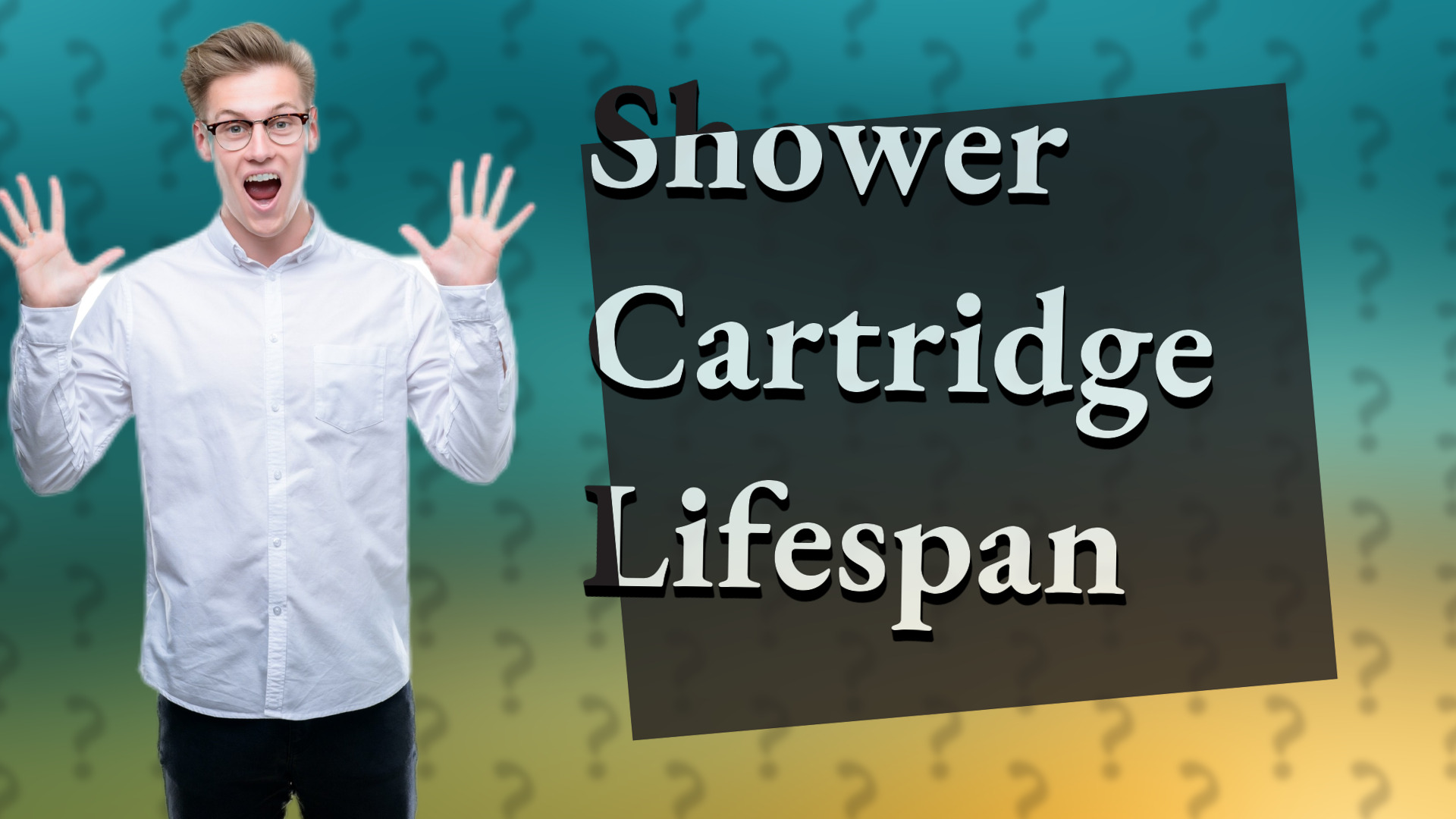 Shower Cartridge Lifespan