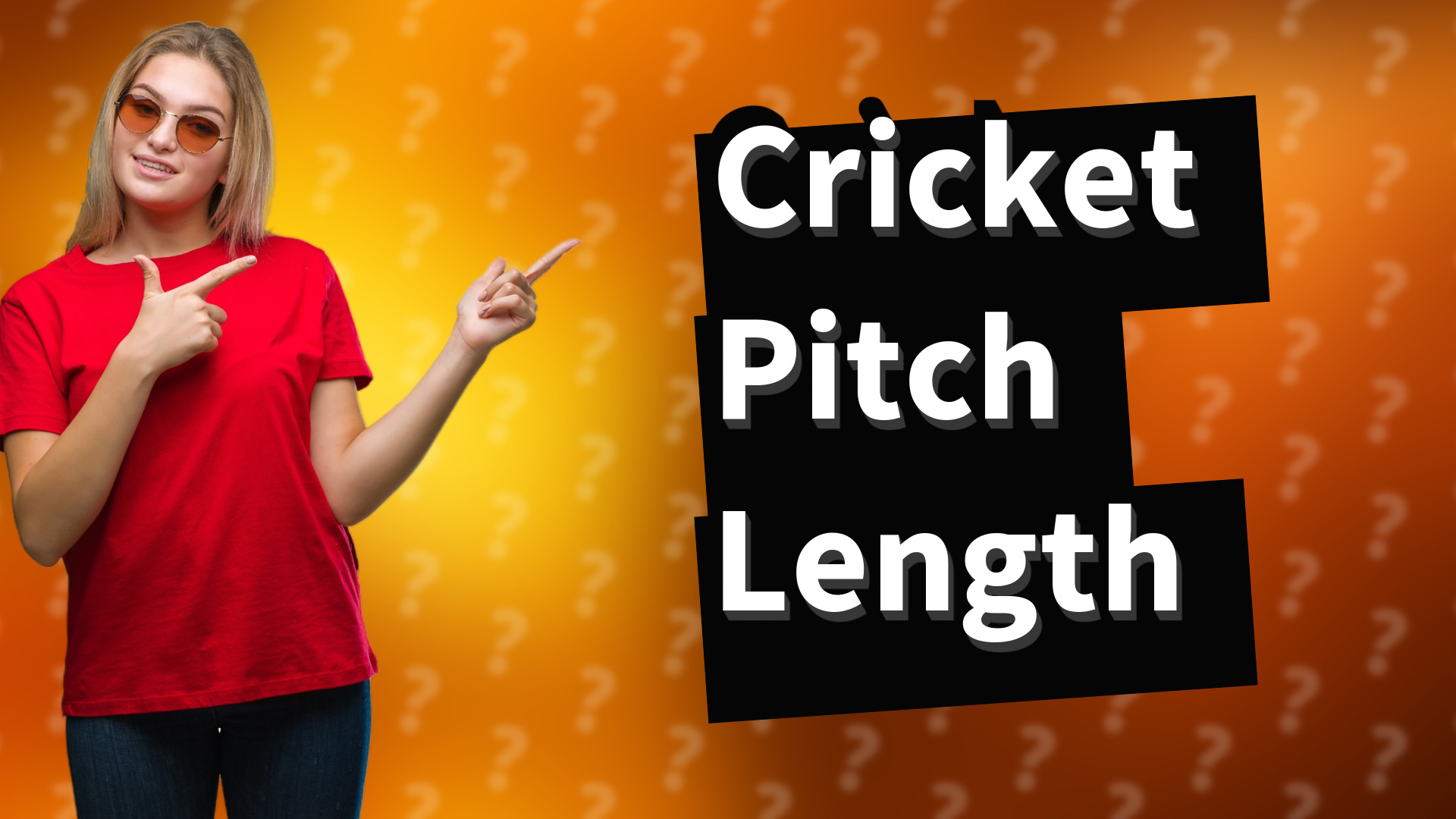 Cricket Pitch Length