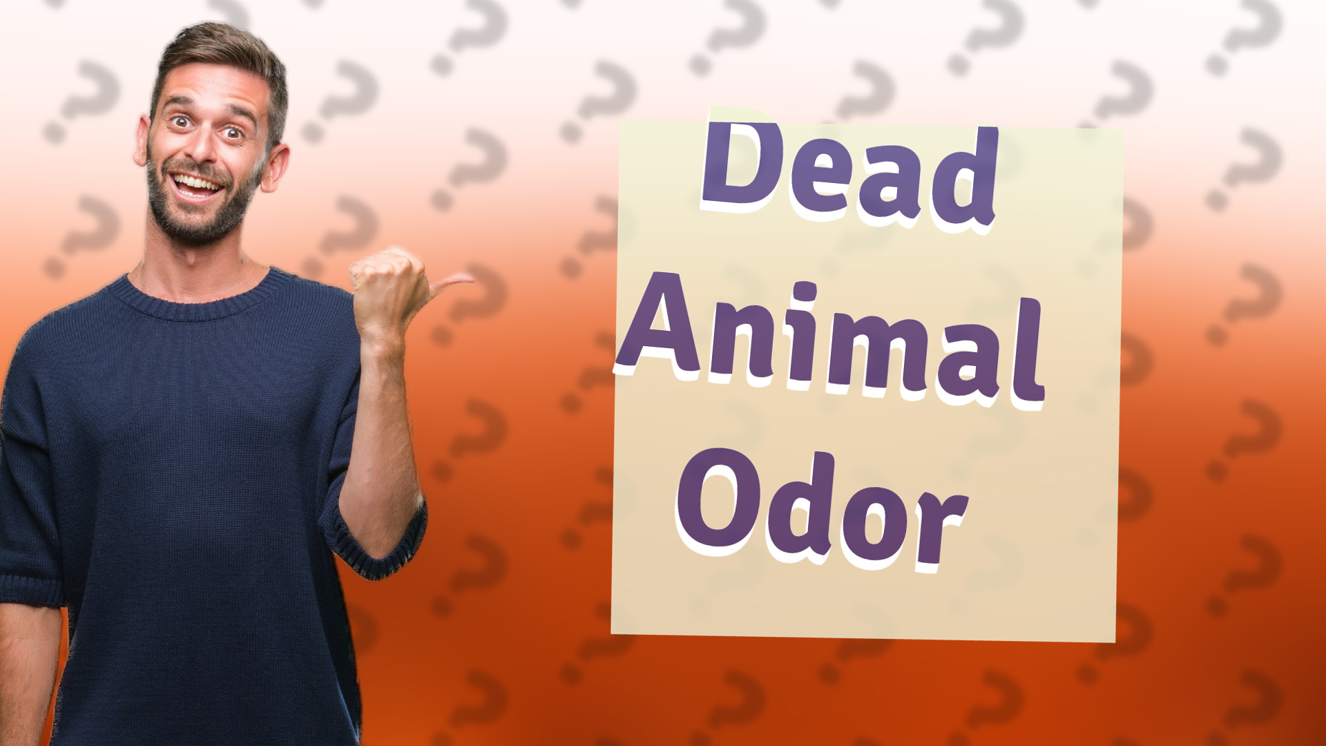 Dead Animal Odor