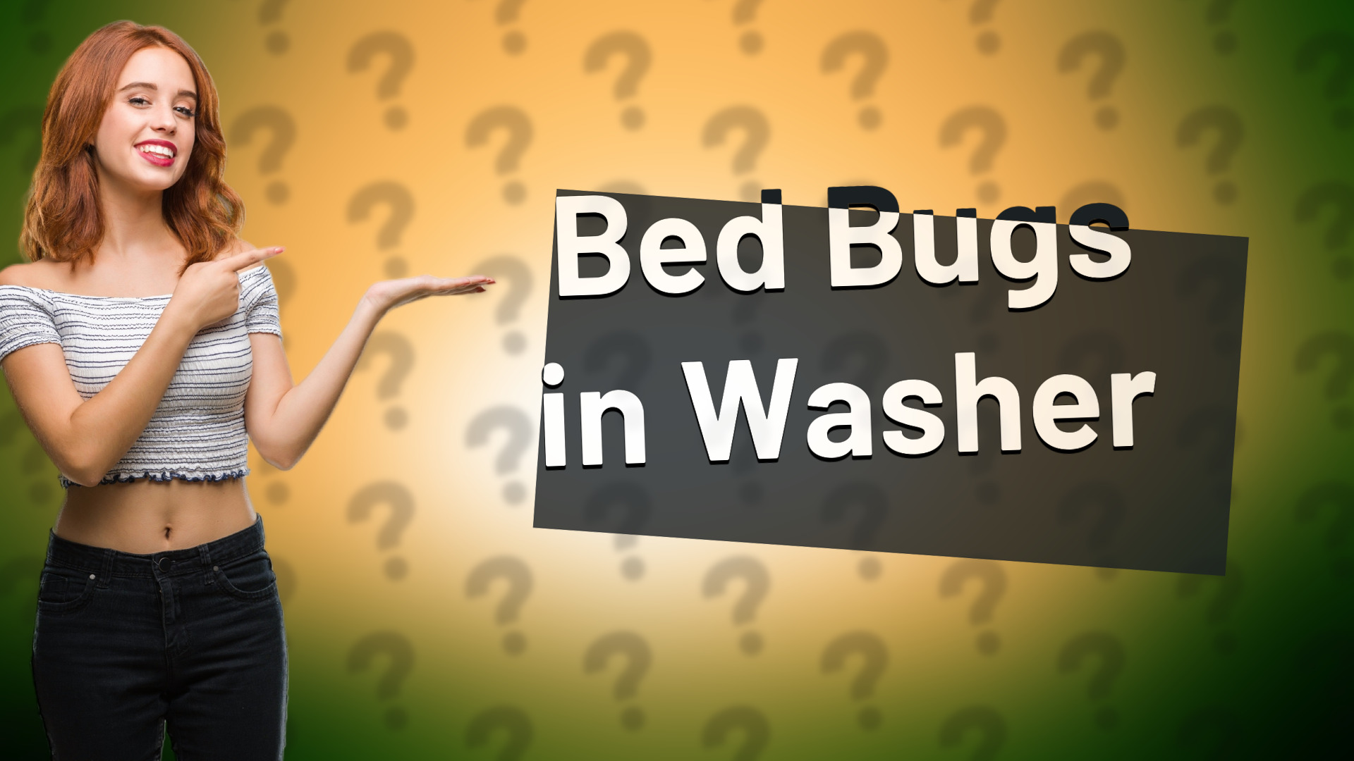 Bed Bugs in Washer