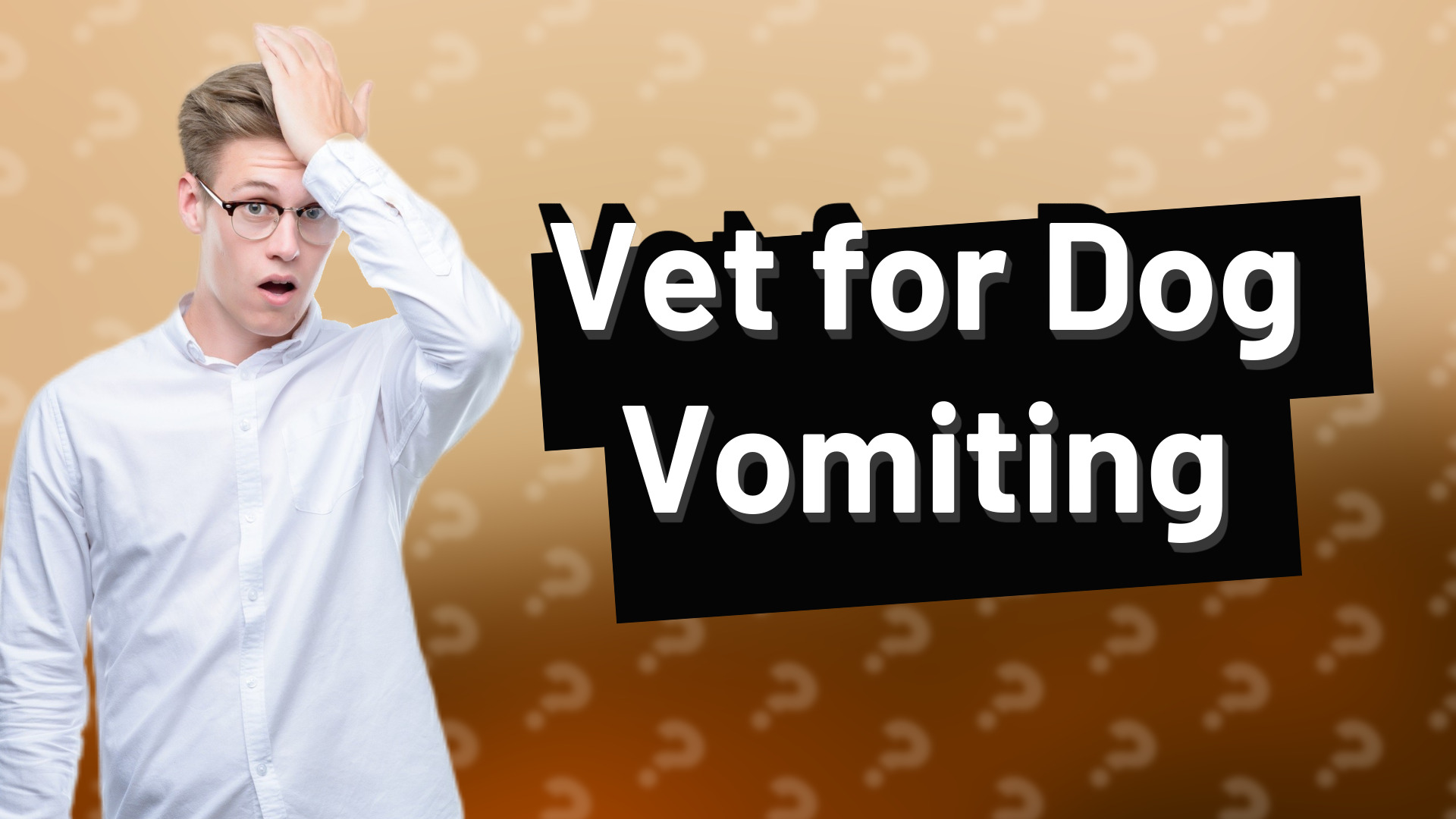 Vet for Dog Vomiting