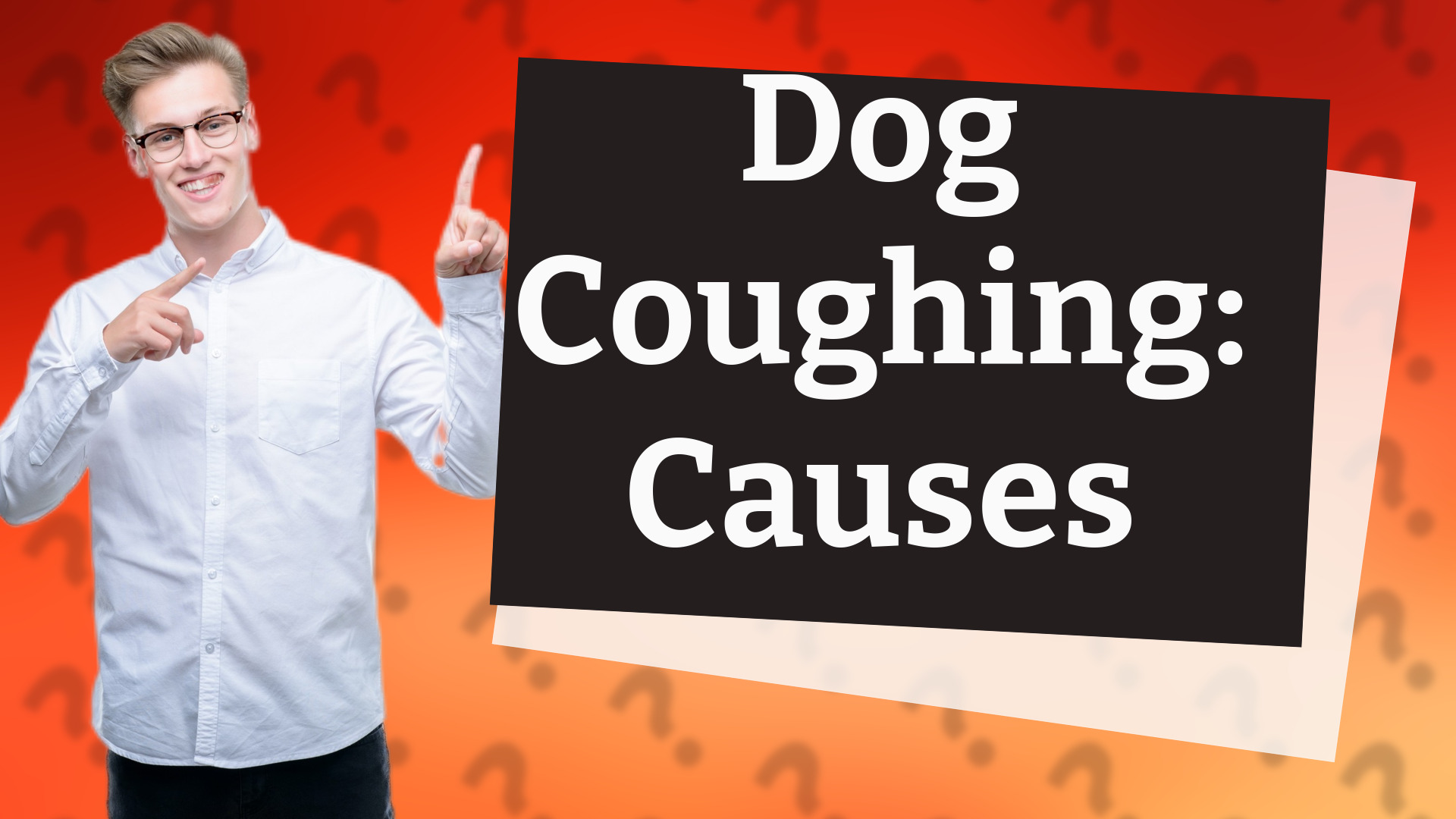 Dog Coughing: Causes