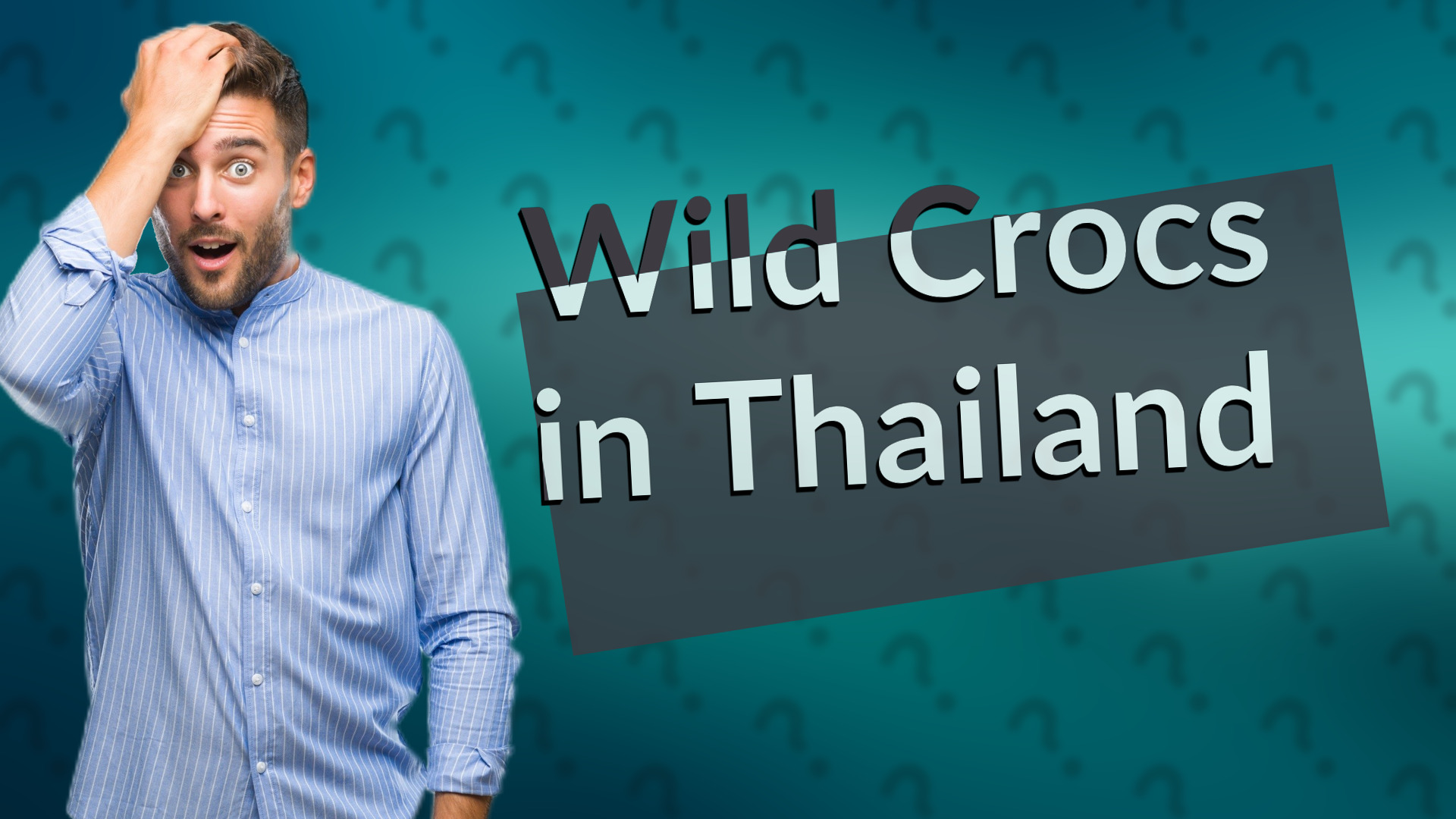 Wild Crocs in Thailand