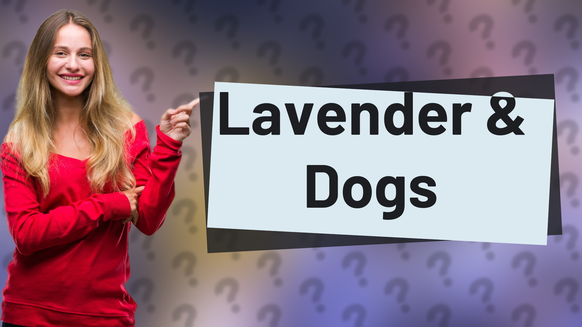 Lavender & Dogs