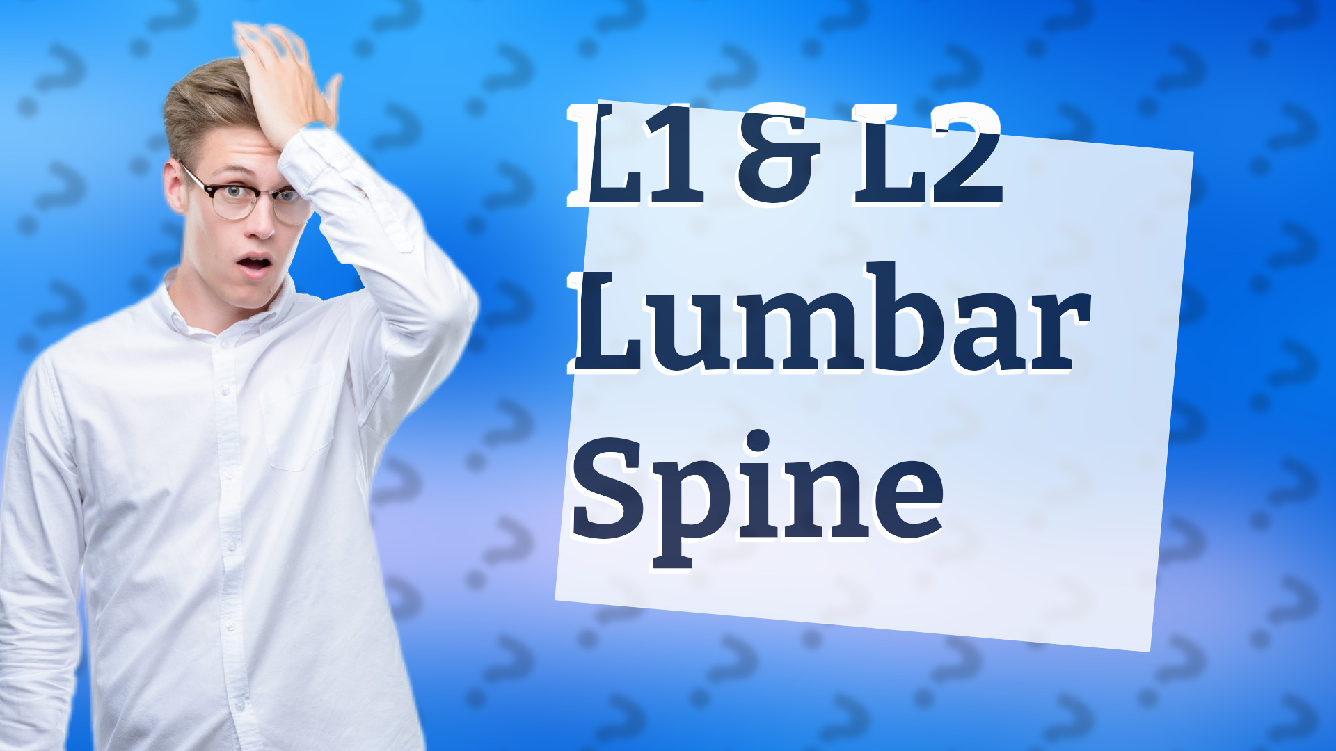 L1 & L2 Lumbar Spine