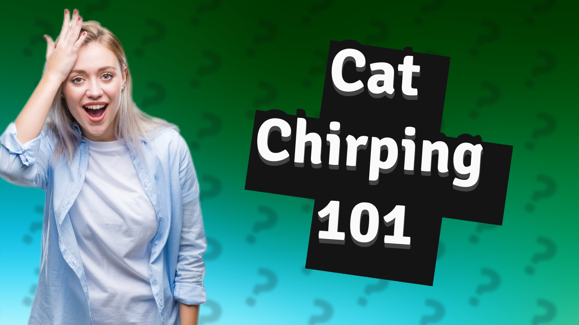 Cat Chirping 101
