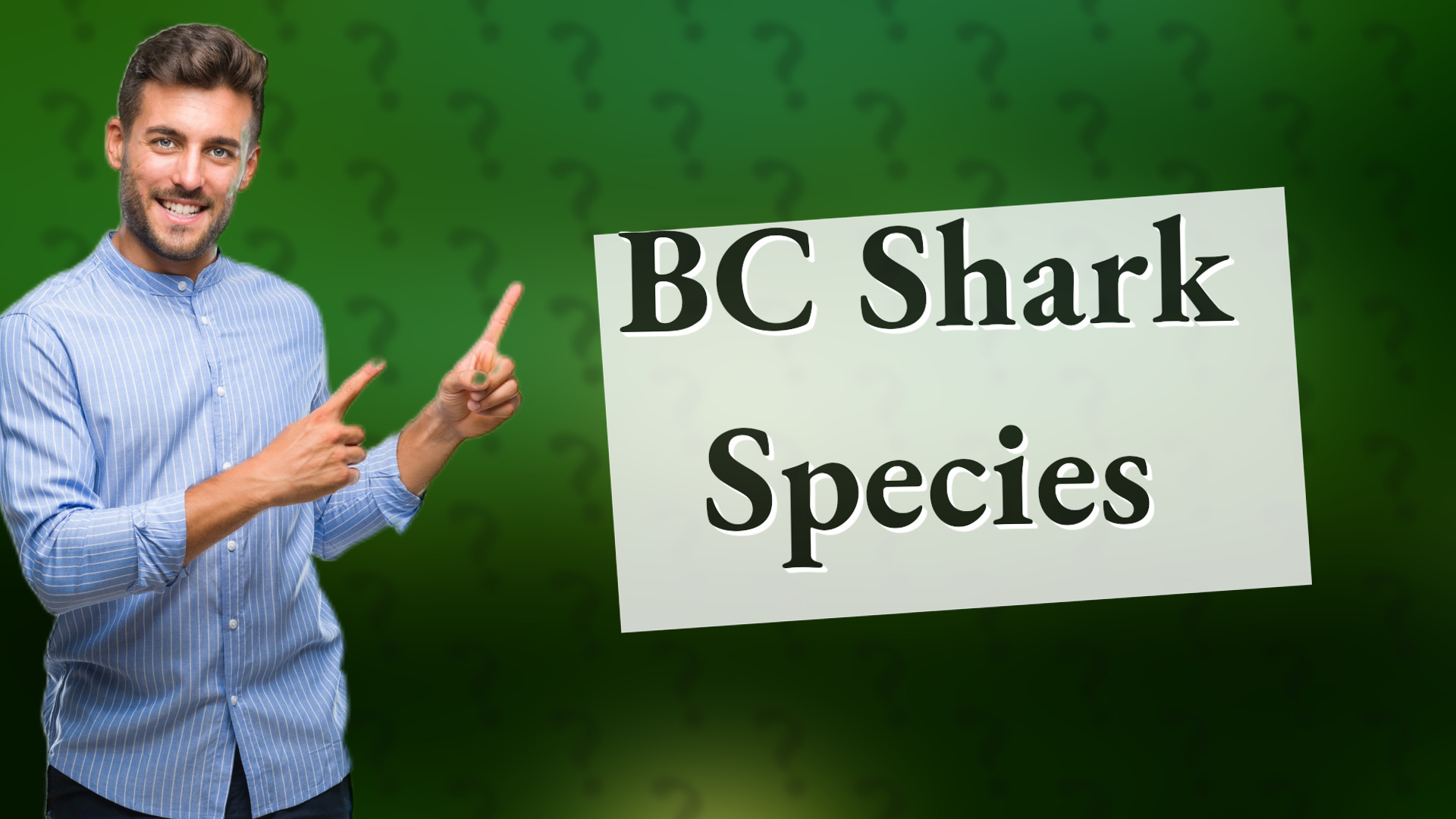 BC Shark Species