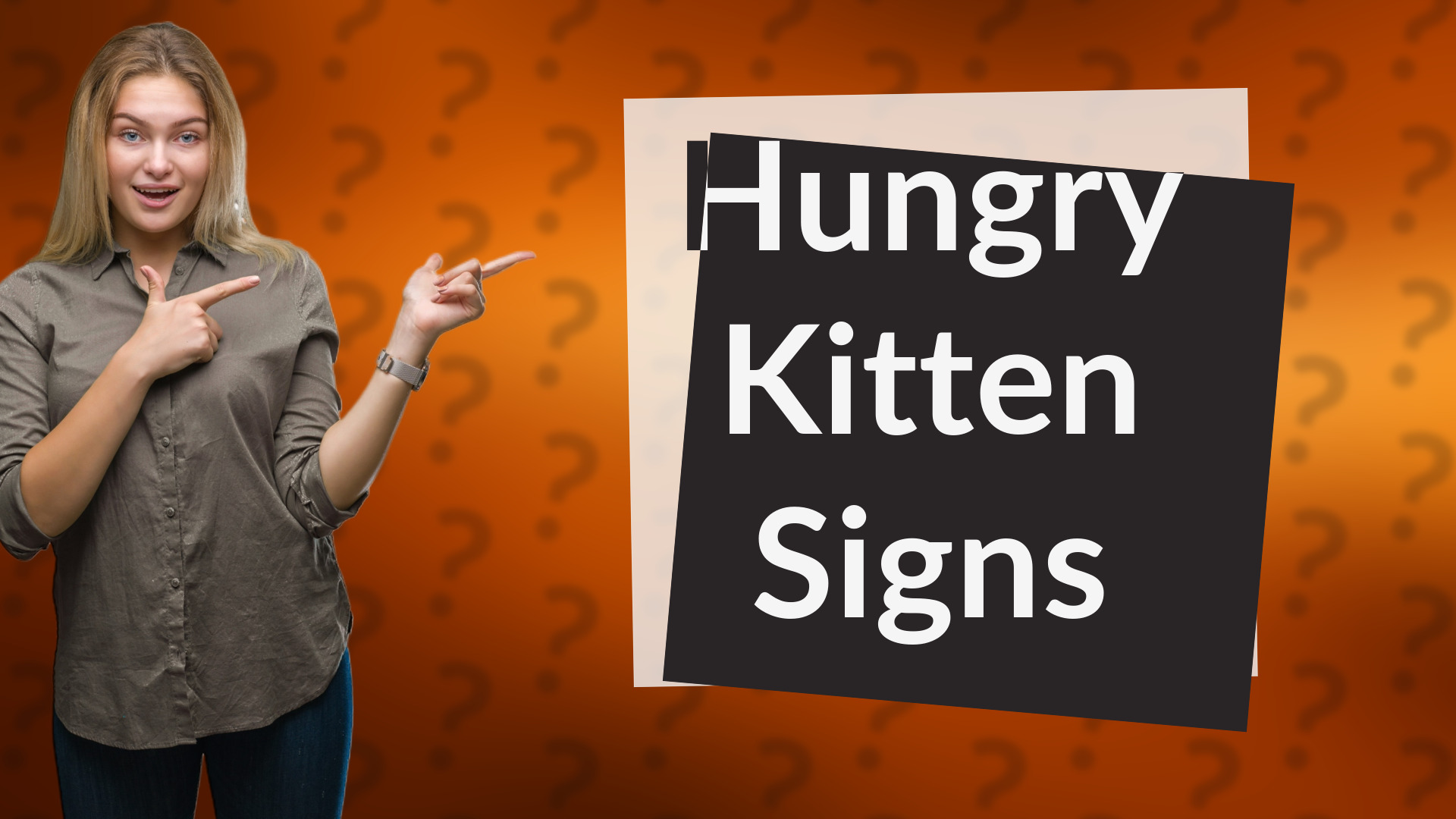 Hungry Kitten Signs