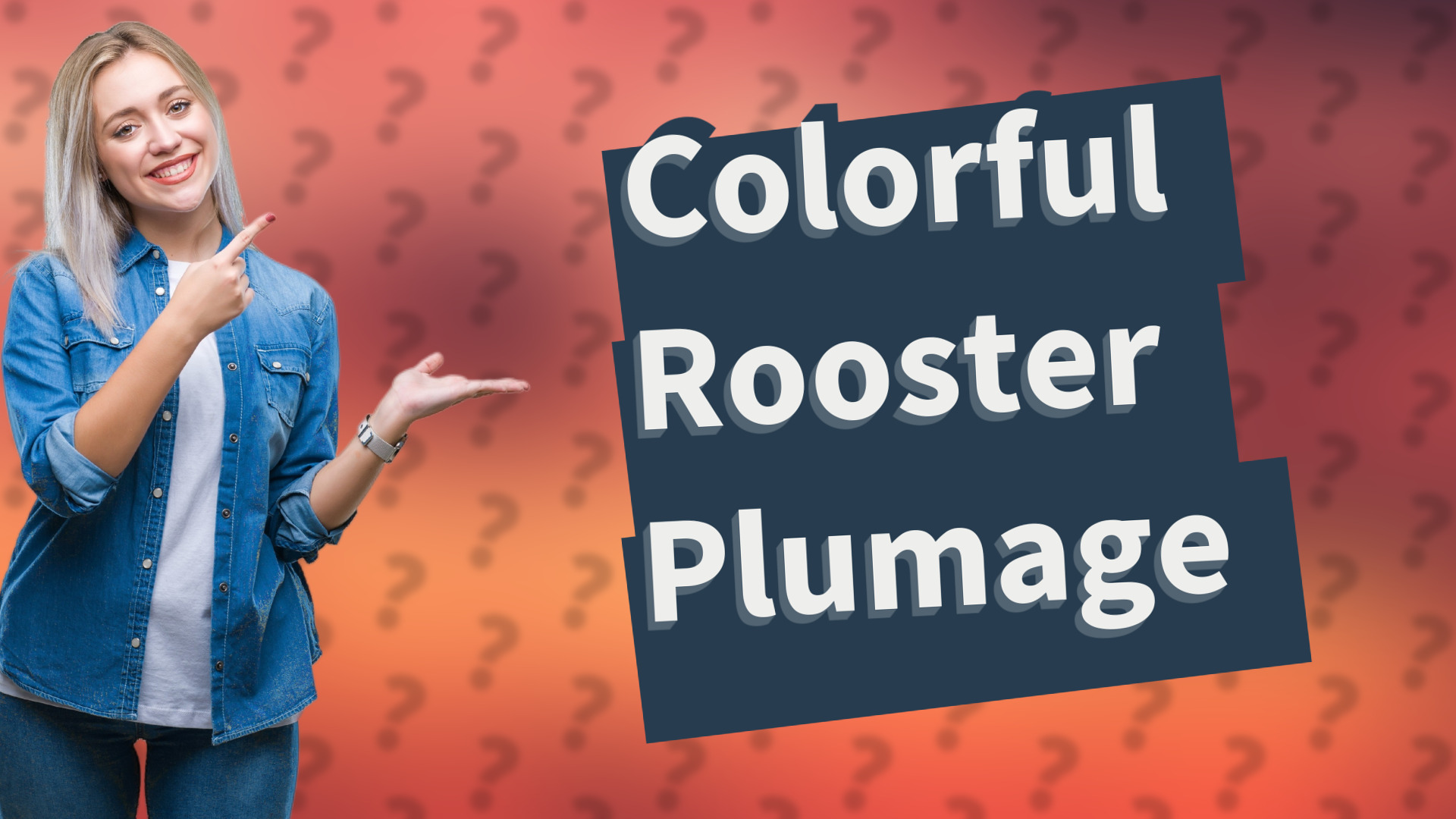 Colorful Rooster Plumage
