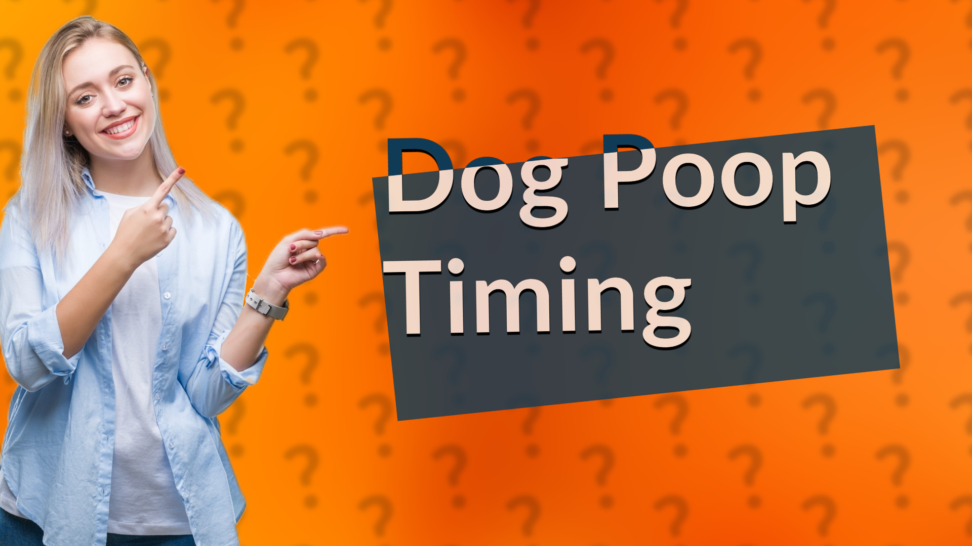 Dog Poop Timing