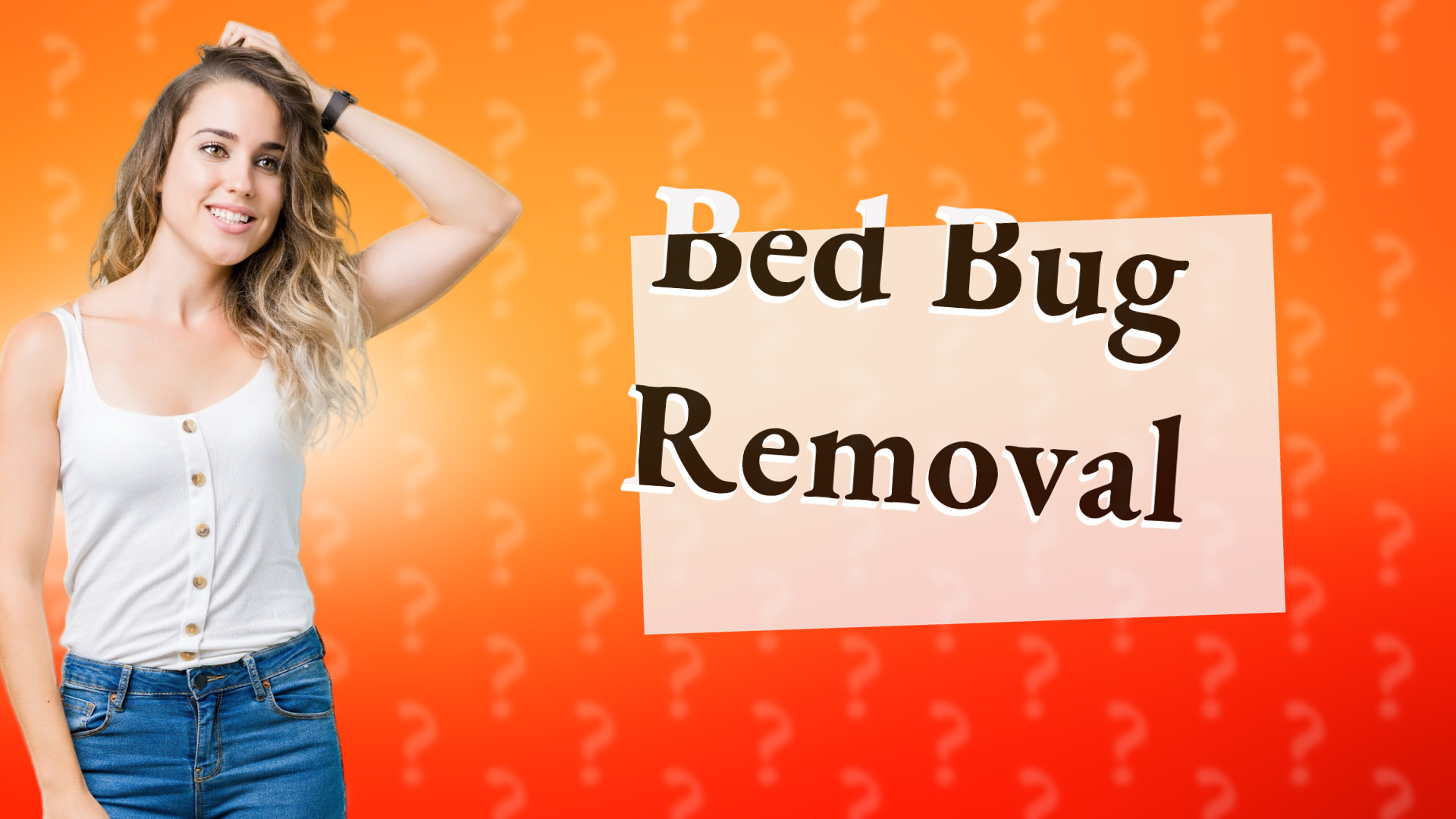 Bed Bug Removal