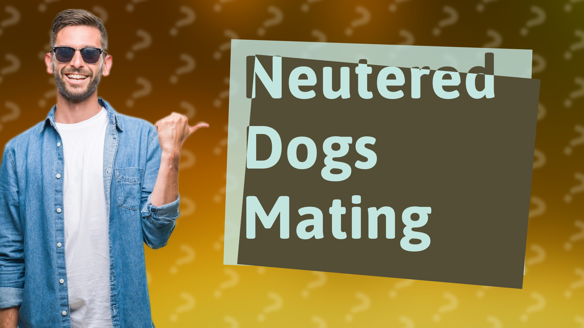 Neutered Dogs Mating