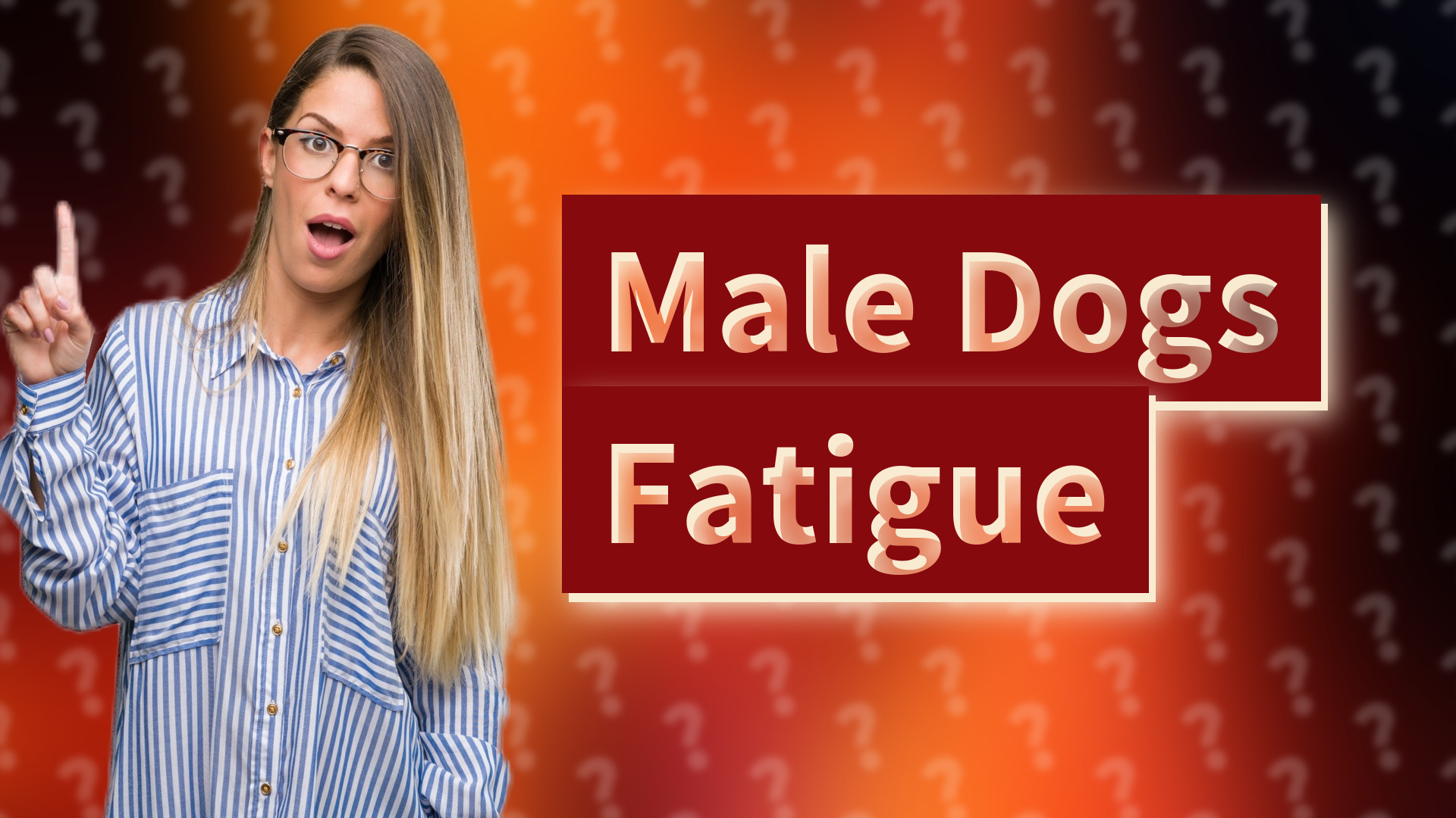 Male Dogs Fatigue