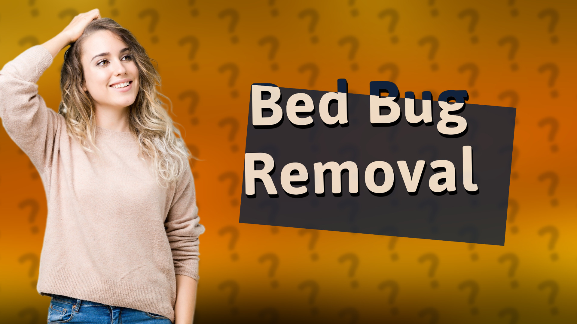 Bed Bug Removal