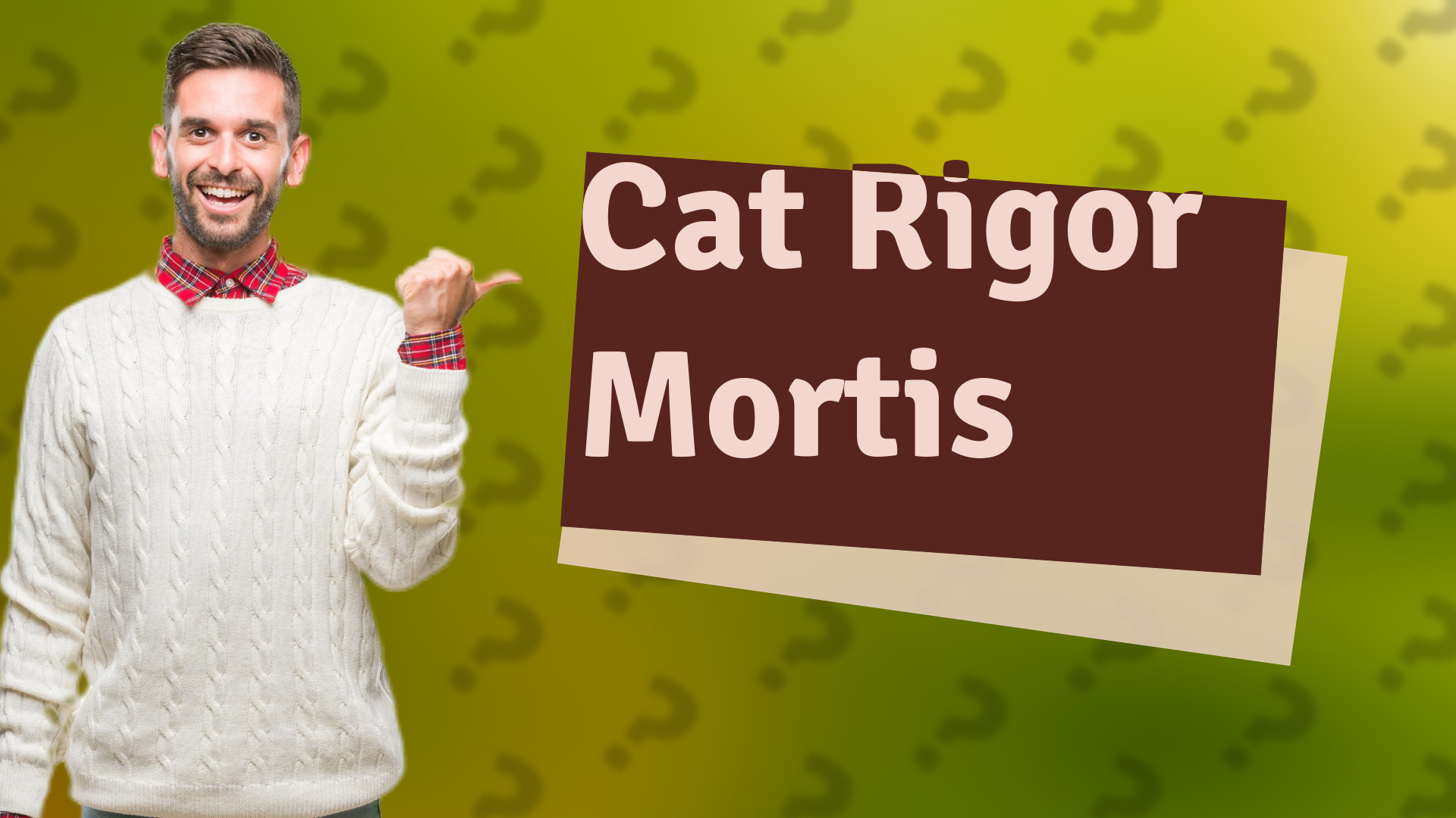 Cat Rigor Mortis