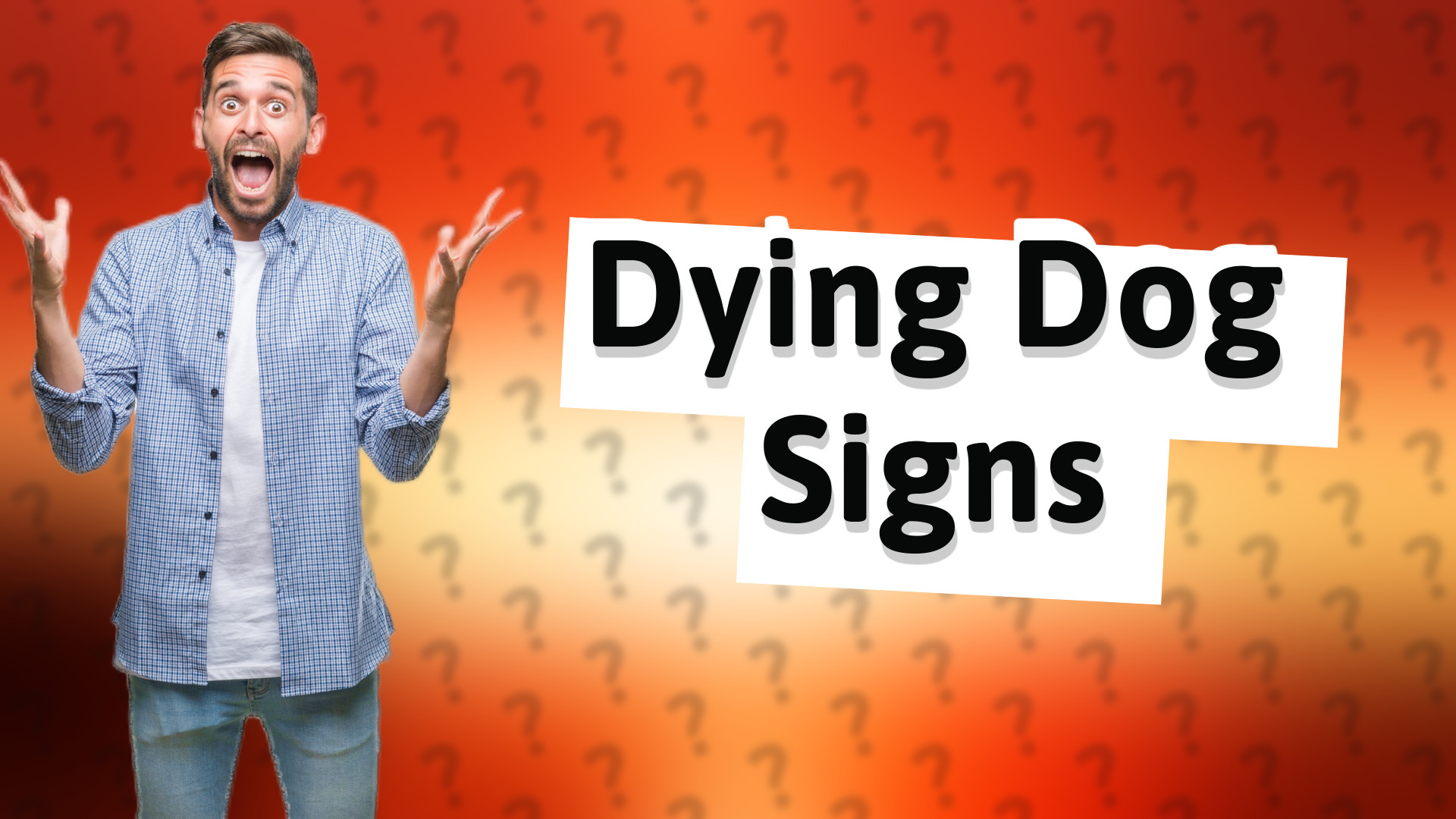 Dying Dog Signs
