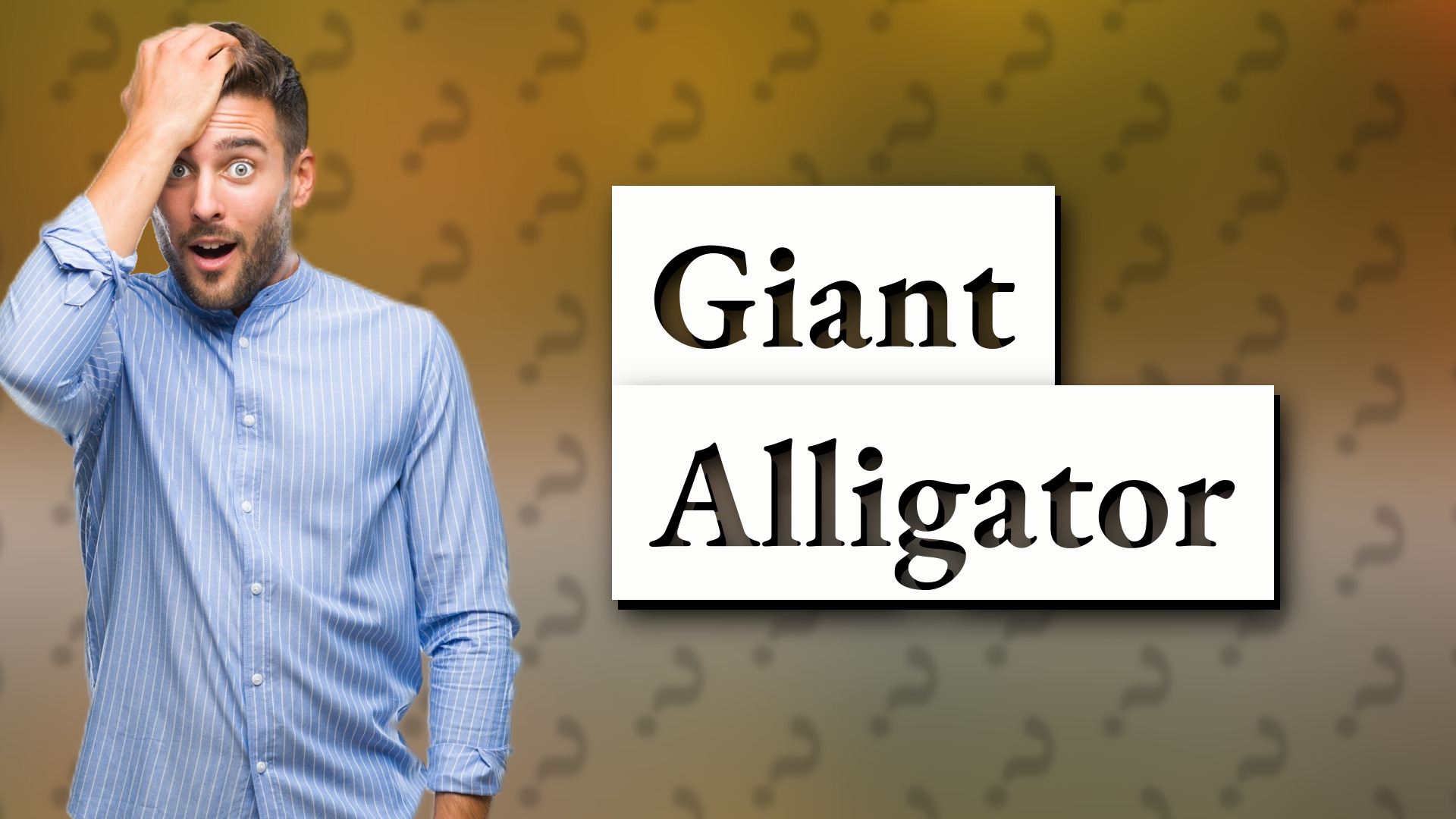 Giant Alligator
