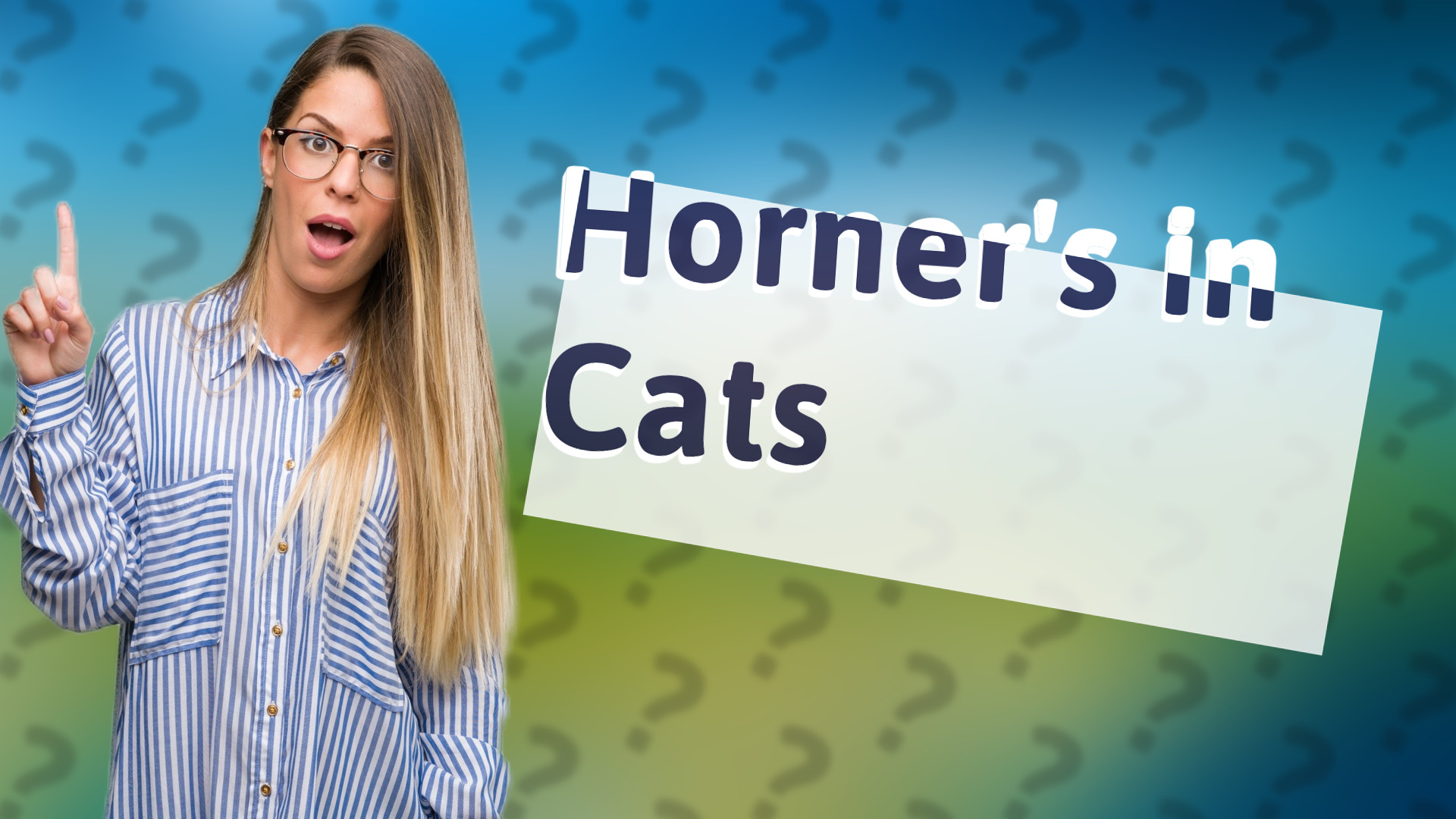 Horner's in Cats
