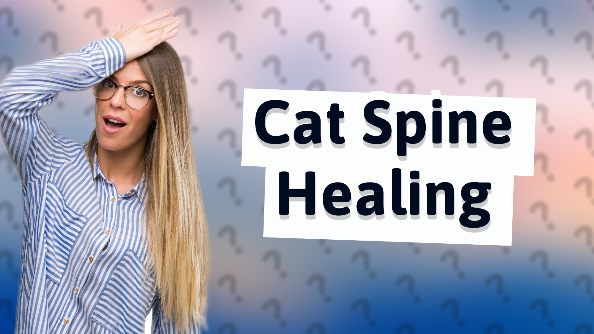 Cat Spine Healing