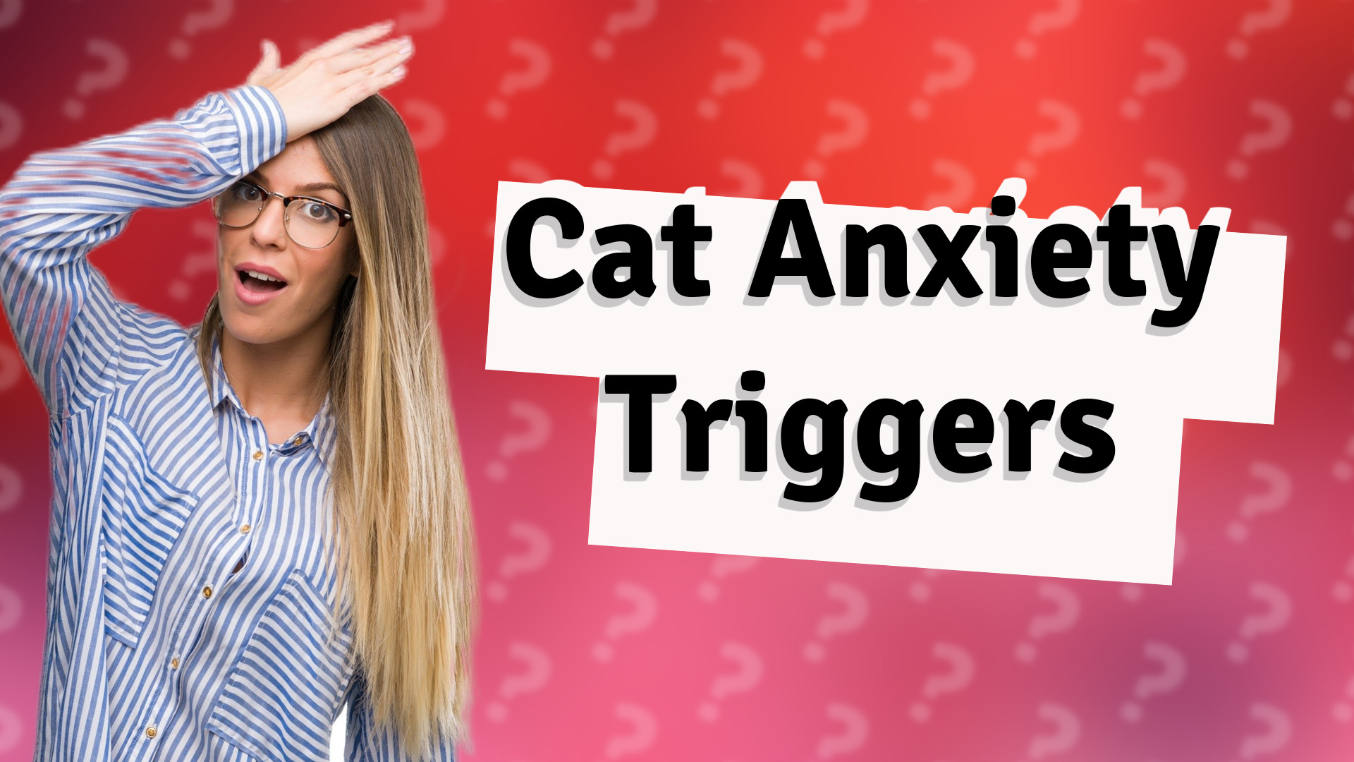 Cat Anxiety Triggers