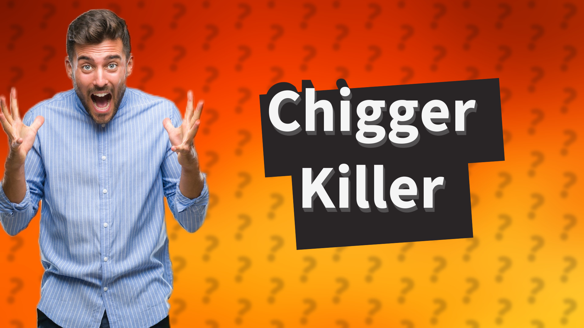 Chigger Killer