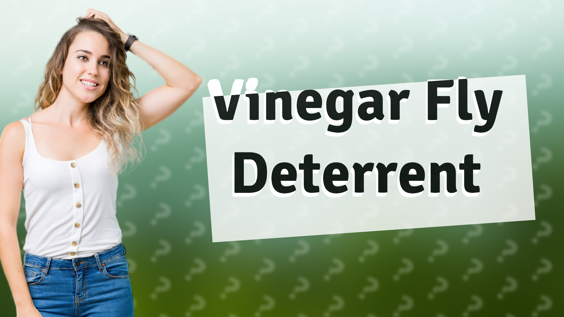 Vinegar Fly Deterrent