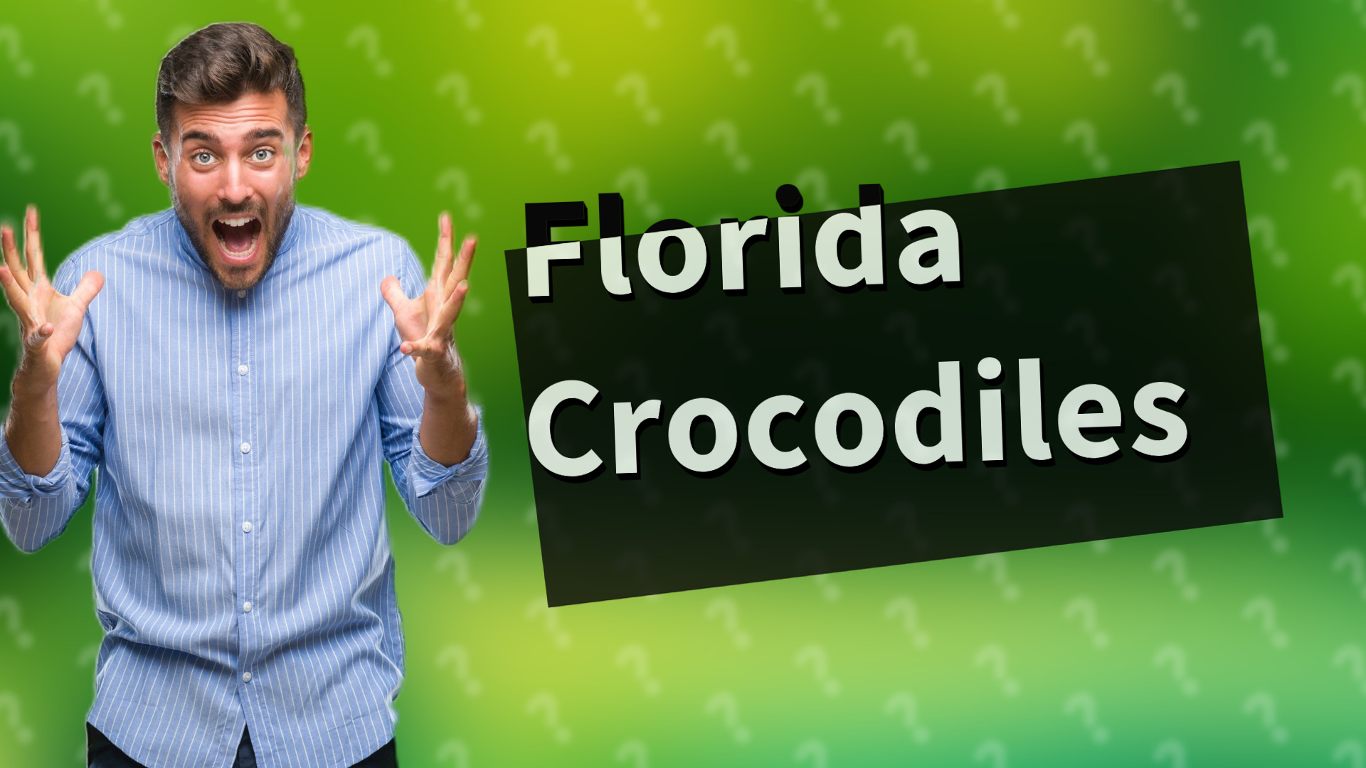 Florida Crocodiles