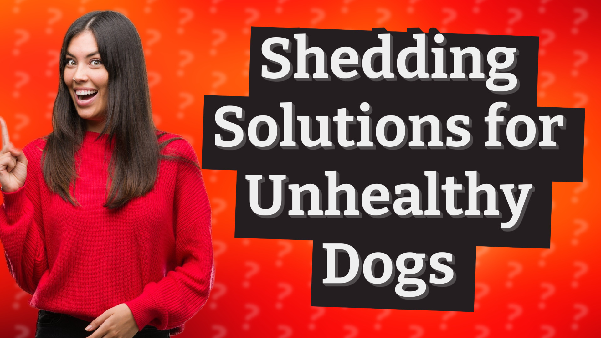 Shedding Solutions for Unhealthy Dogs