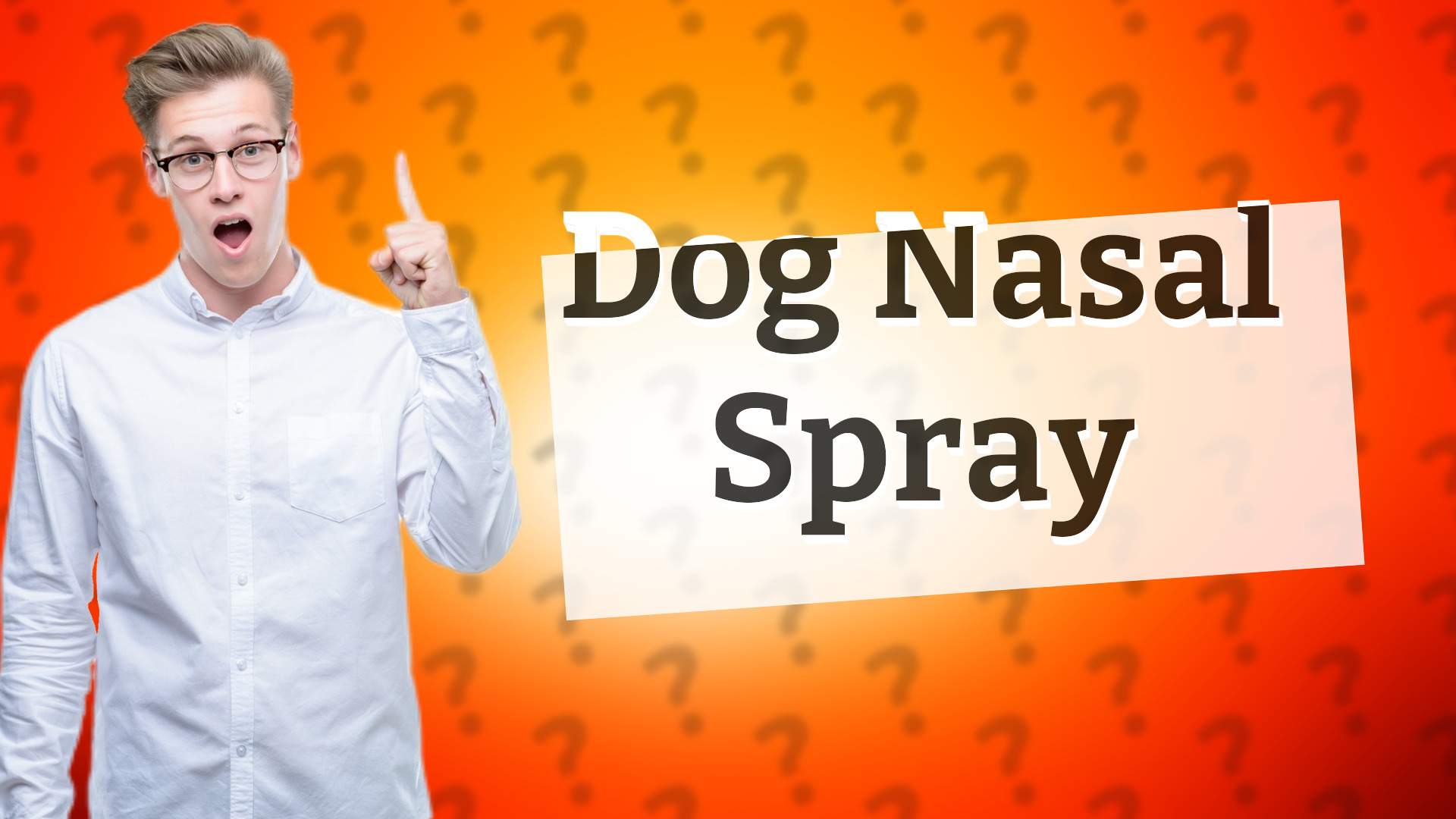 Dog Nasal Spray