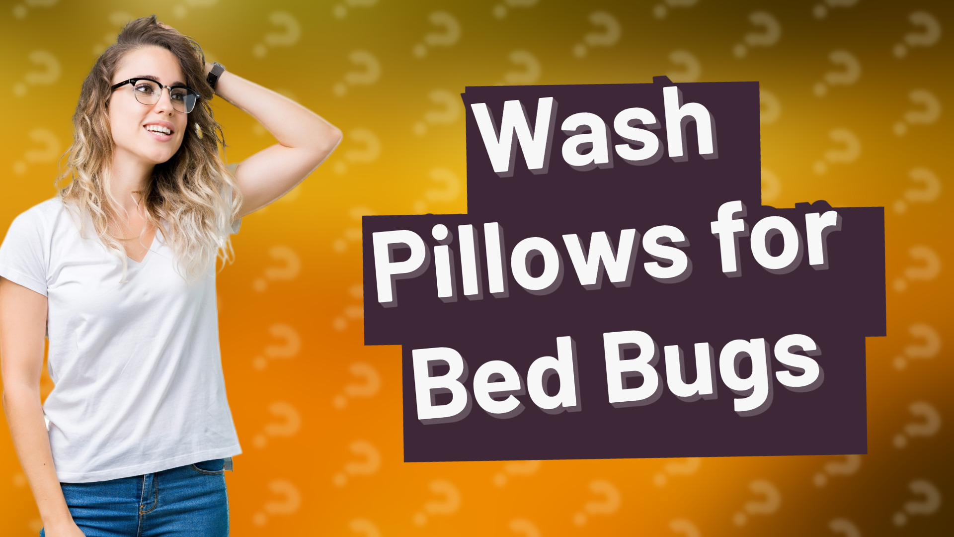 Wash Pillows for Bed Bugs